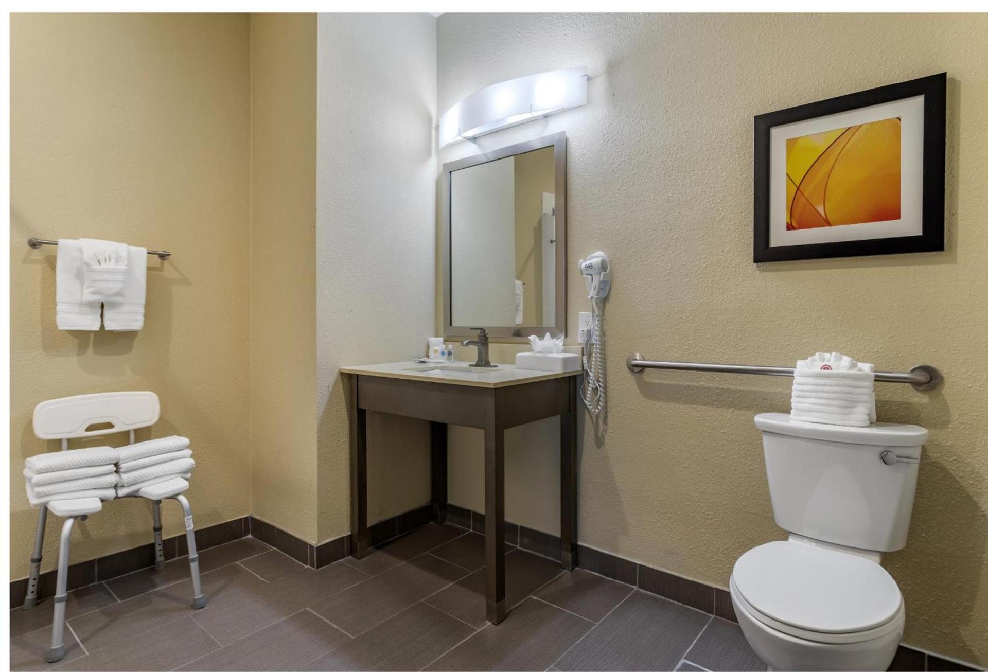 Comfort Suites Near Sam Houston Race Park photo 7