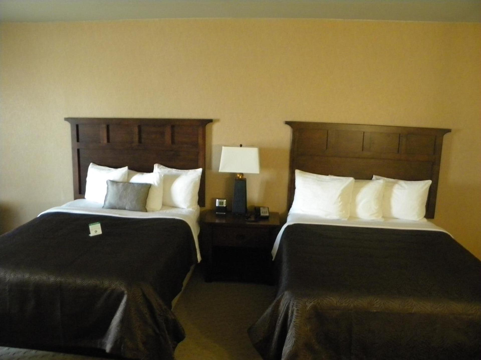 Teddy's Residential Suites Watford City photo 34