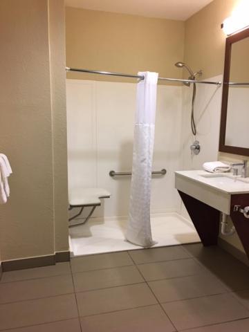 Comfort Inn Early Brownwood photo 6