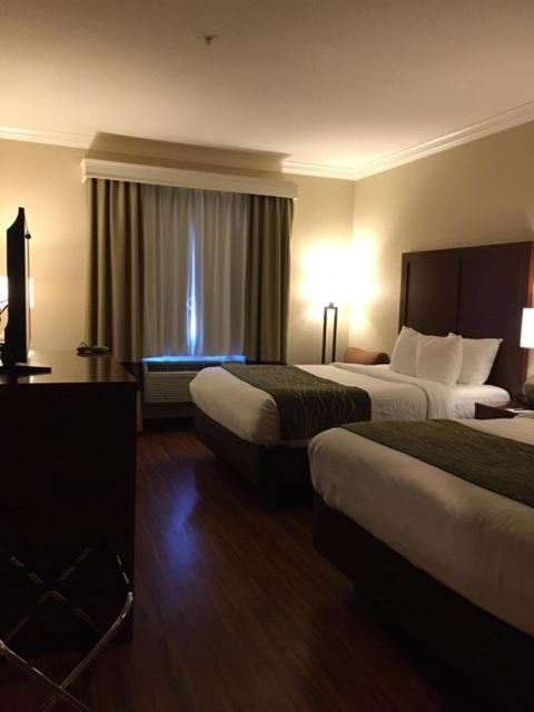 Comfort Inn Early Brownwood photo 4
