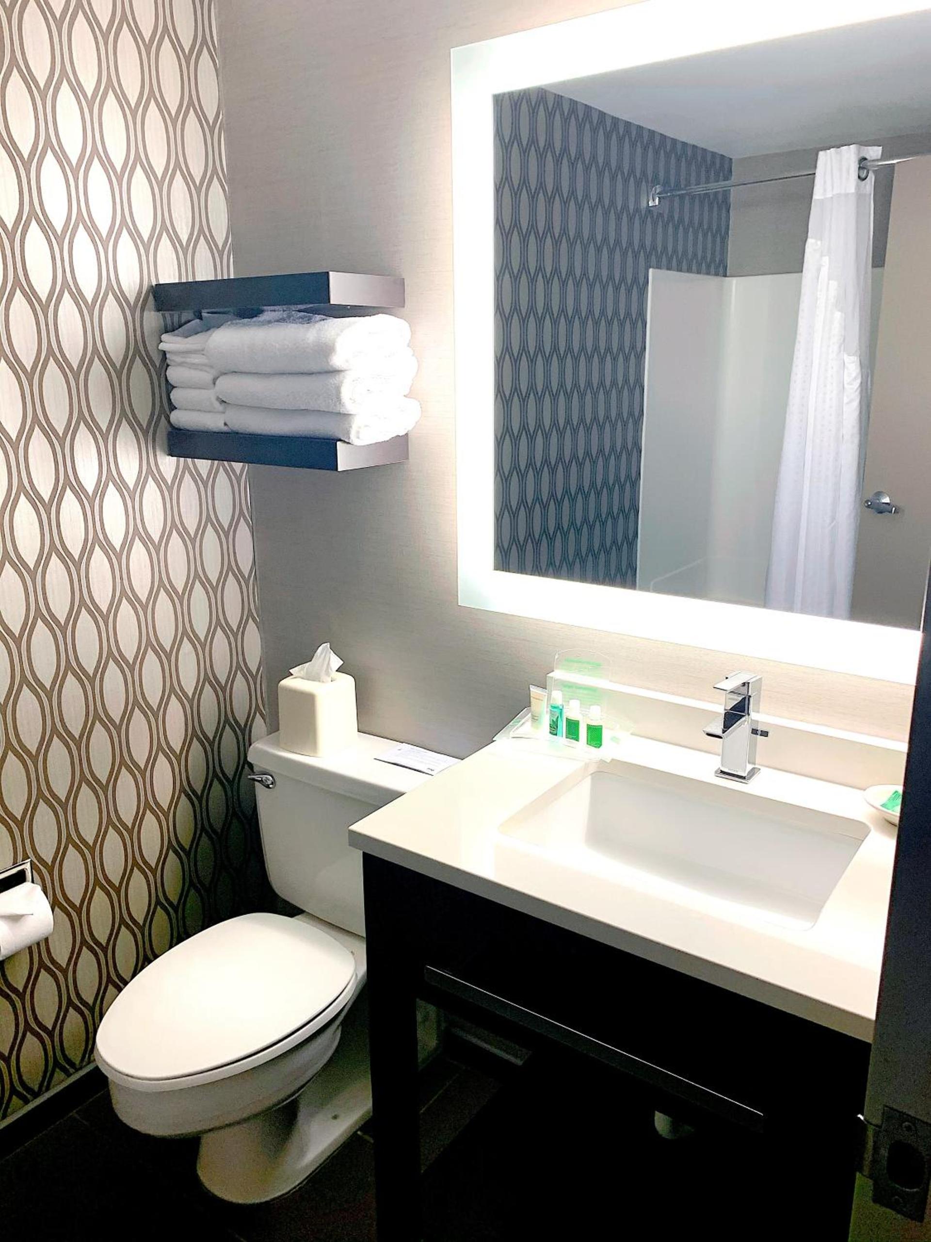 Holiday Inn St. Paul Downtown by IHG photo 6