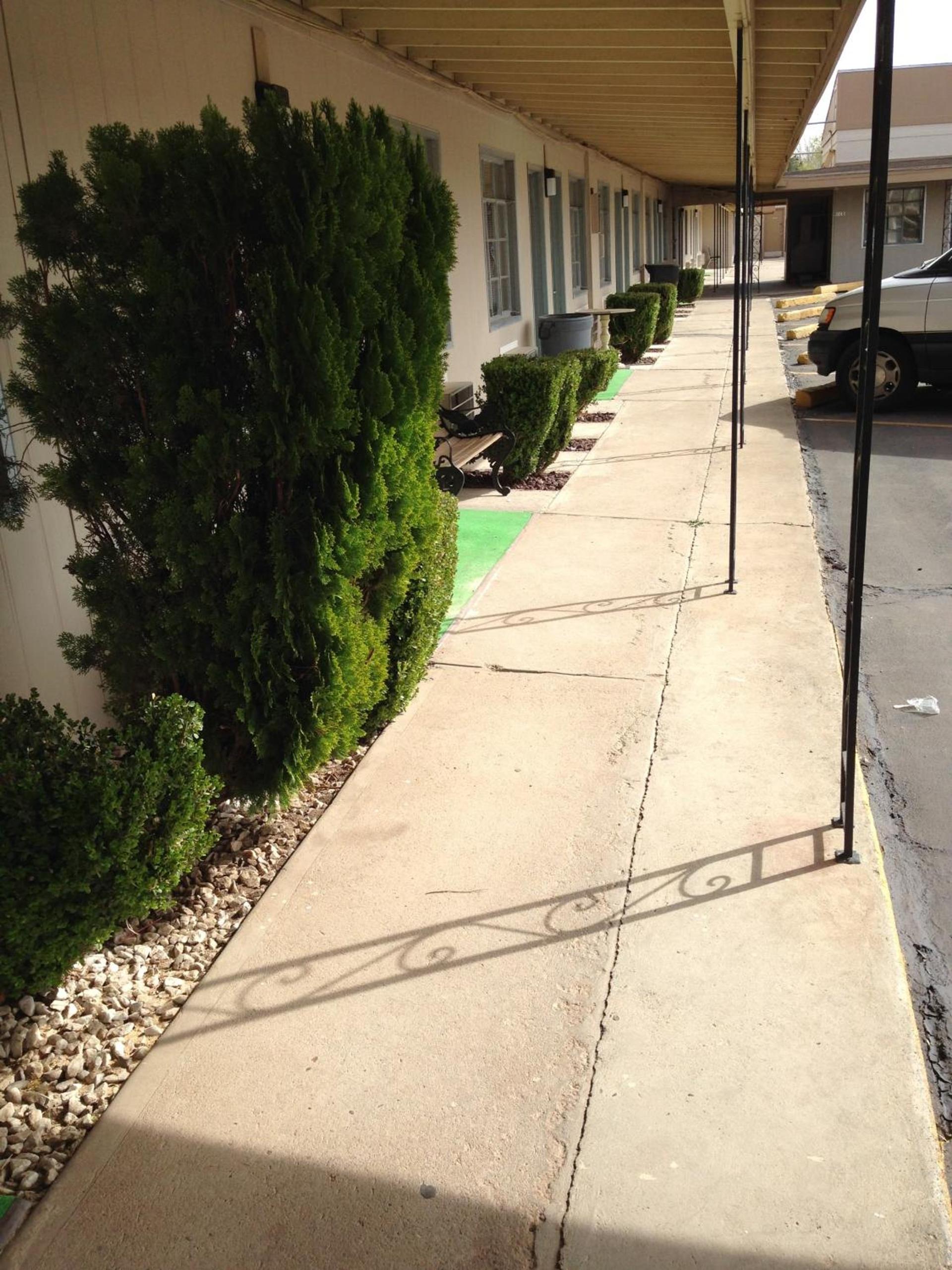 Mayo Inn photo 32