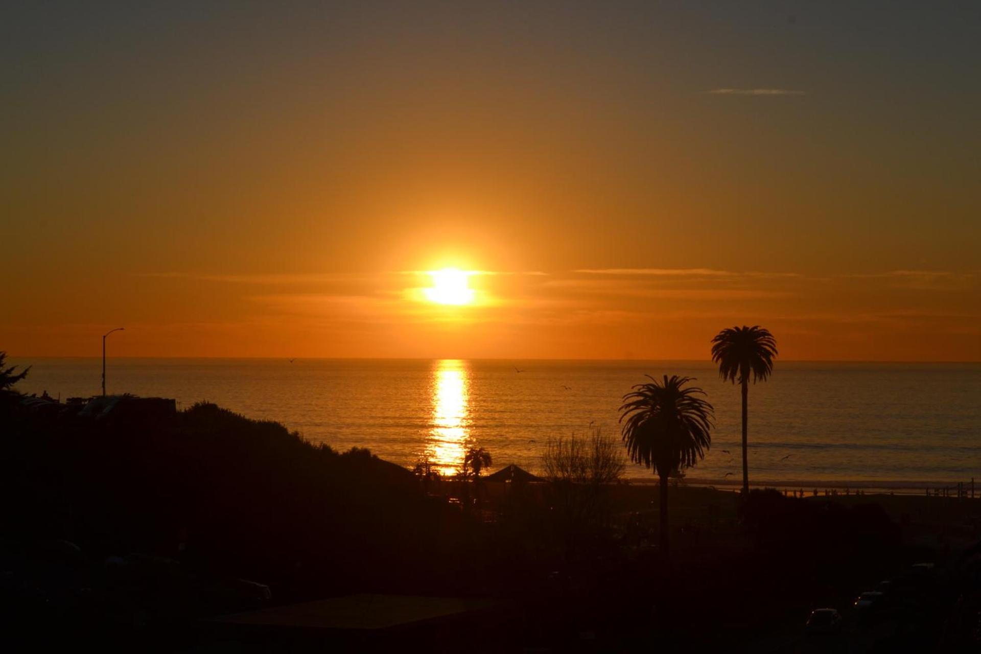 Moonlight Beach Motel photo 46