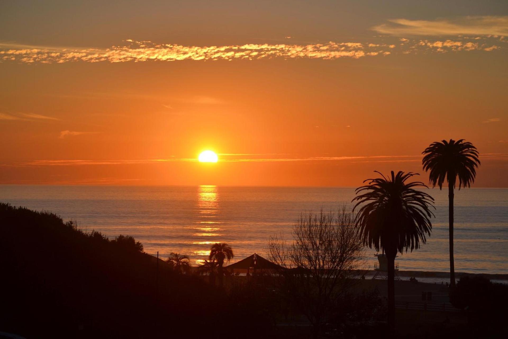 Moonlight Beach Motel photo 47