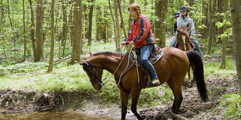 Nantahala Village photo 7