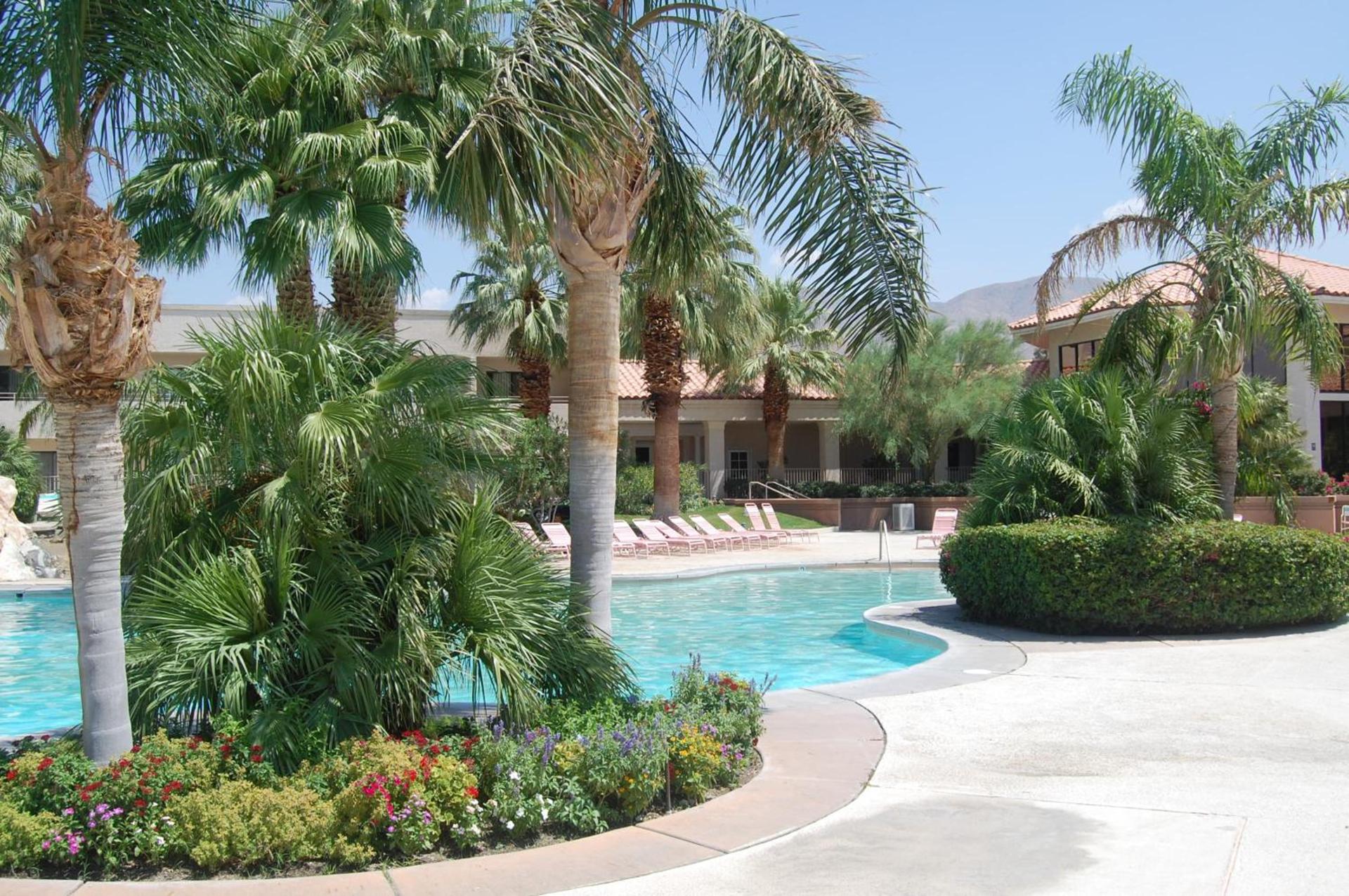 Miracle Springs Resort and Spa photo 96