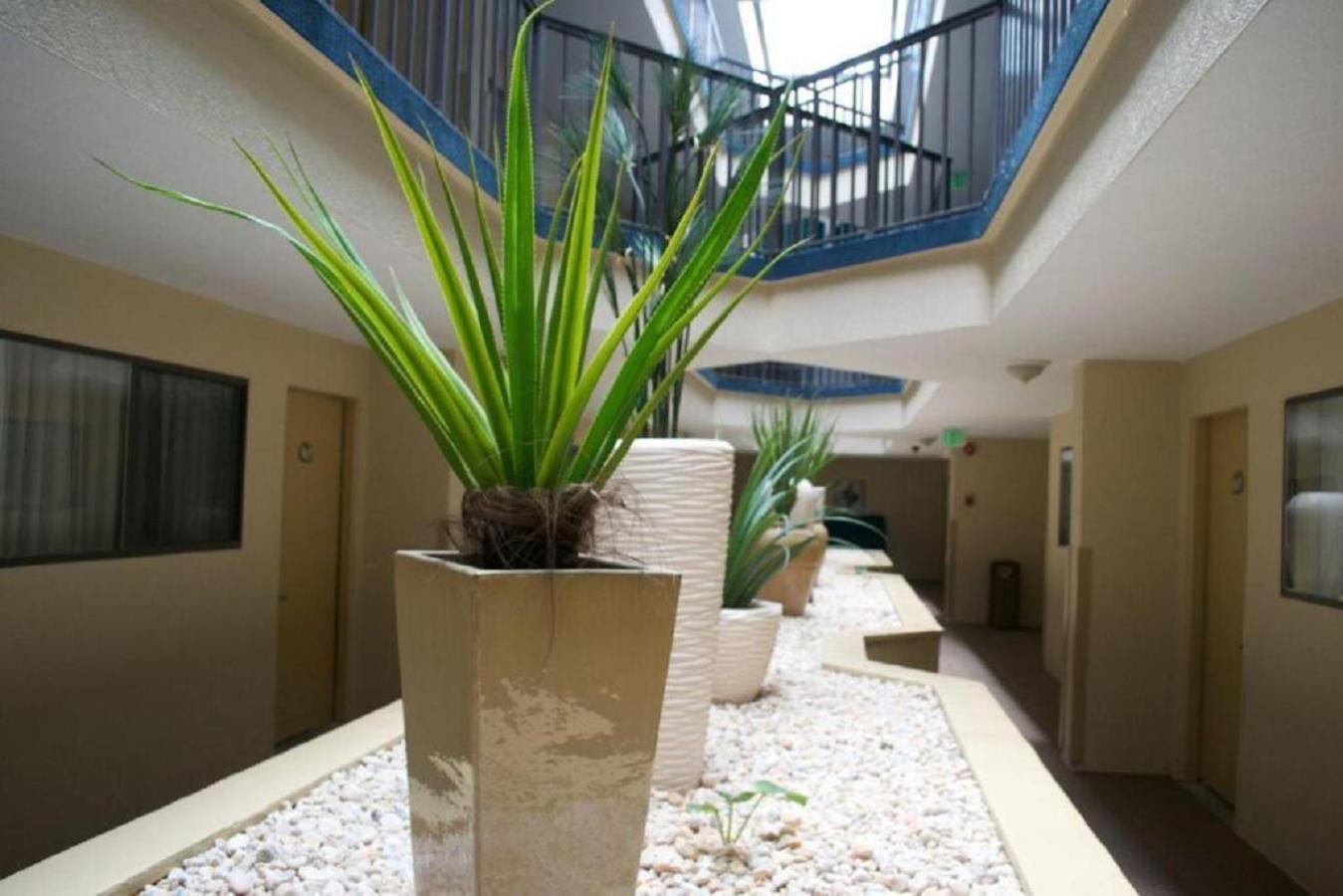 Brighton Suites Hotel photo 33