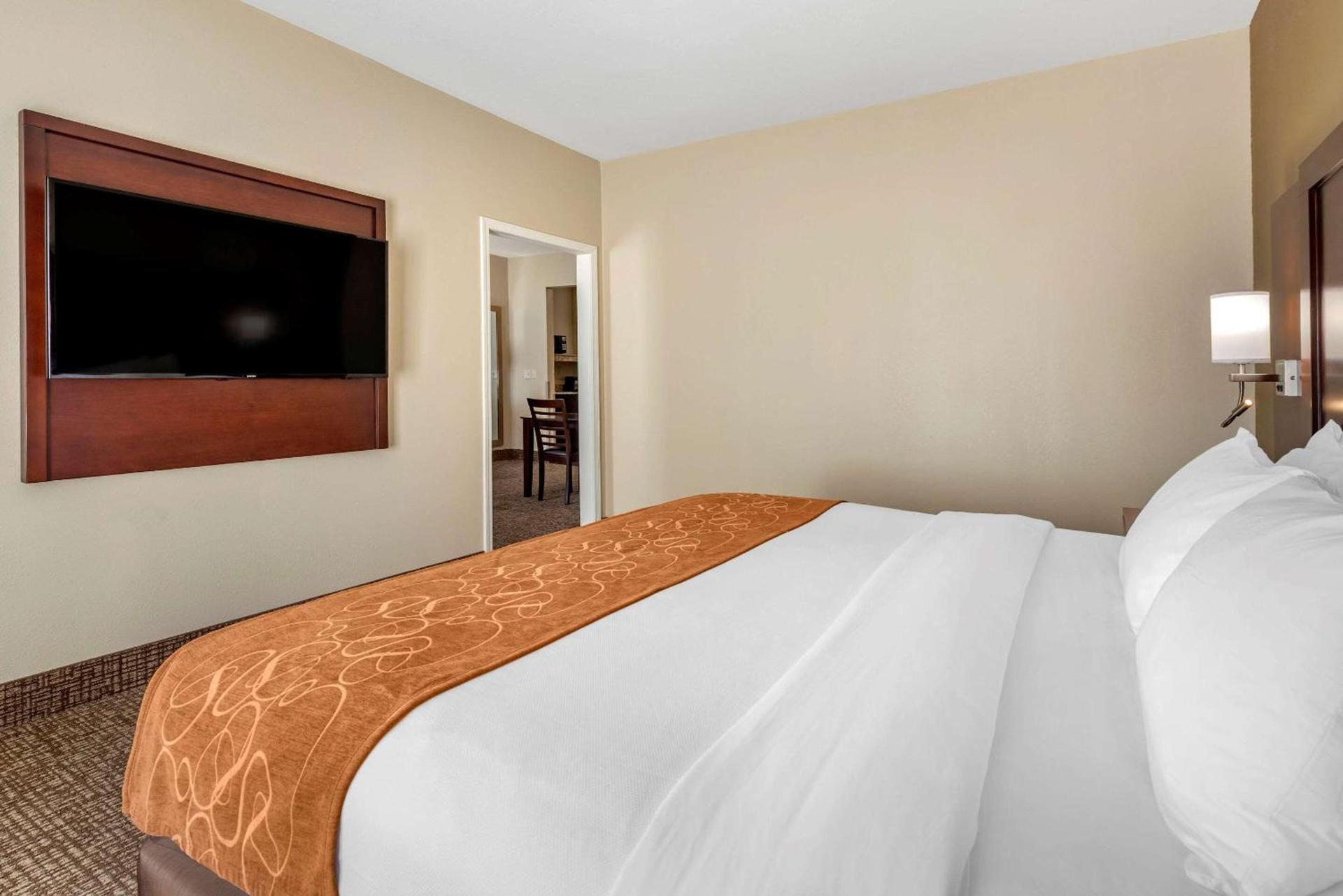 Comfort Suites Auburn near I-69 photo 7