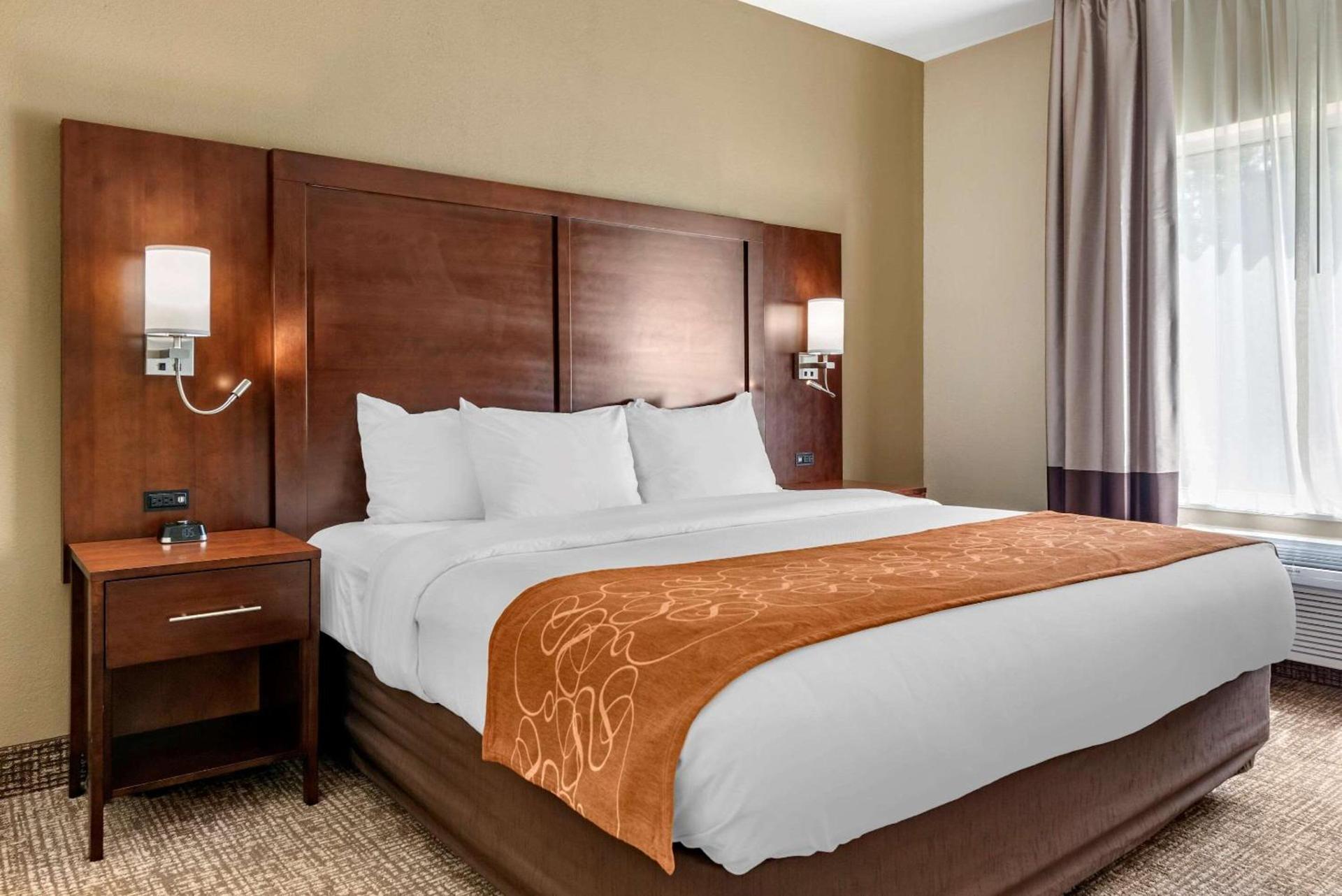 Comfort Suites Auburn near I-69 photo 6