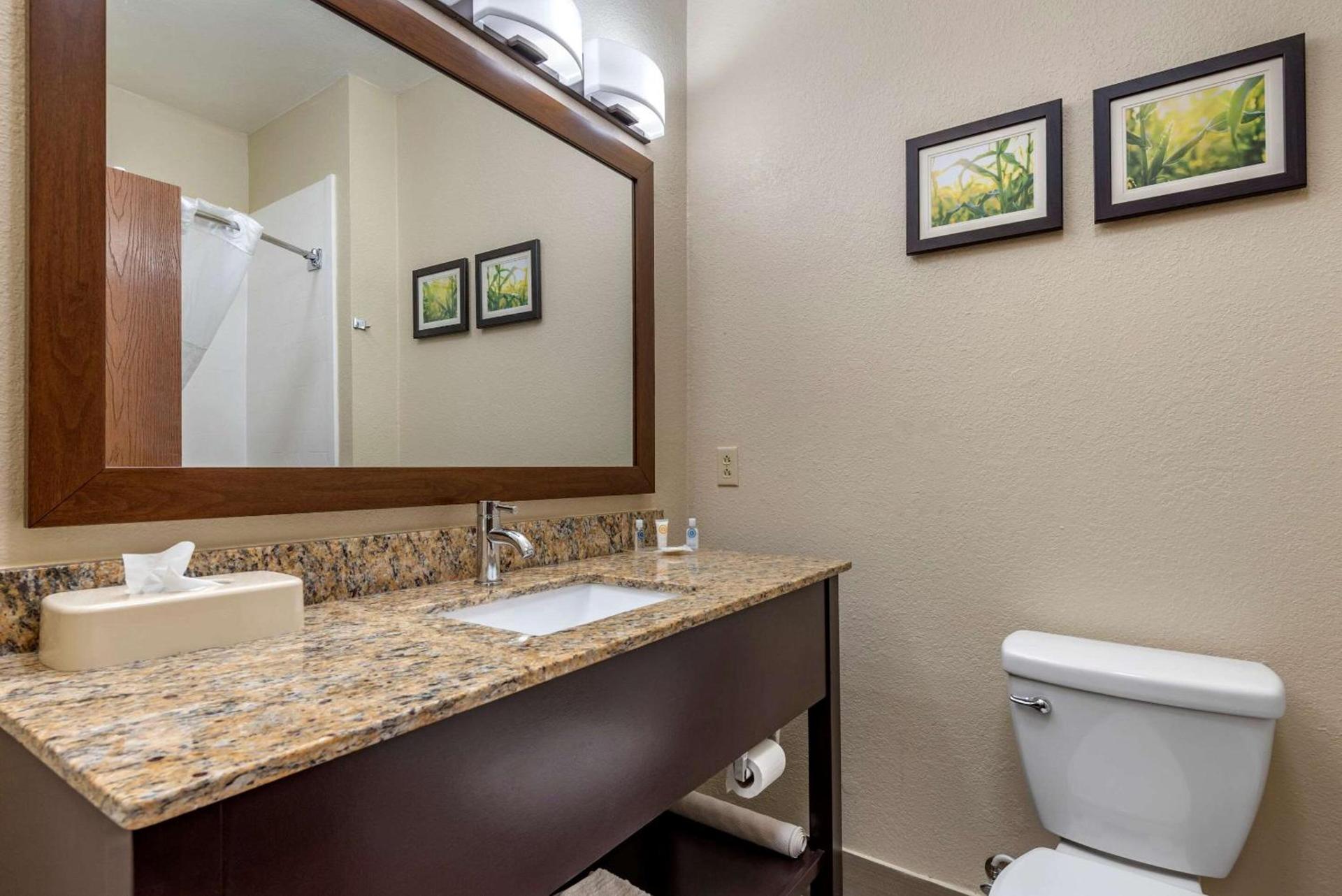 Comfort Suites Auburn near I-69 photo 9