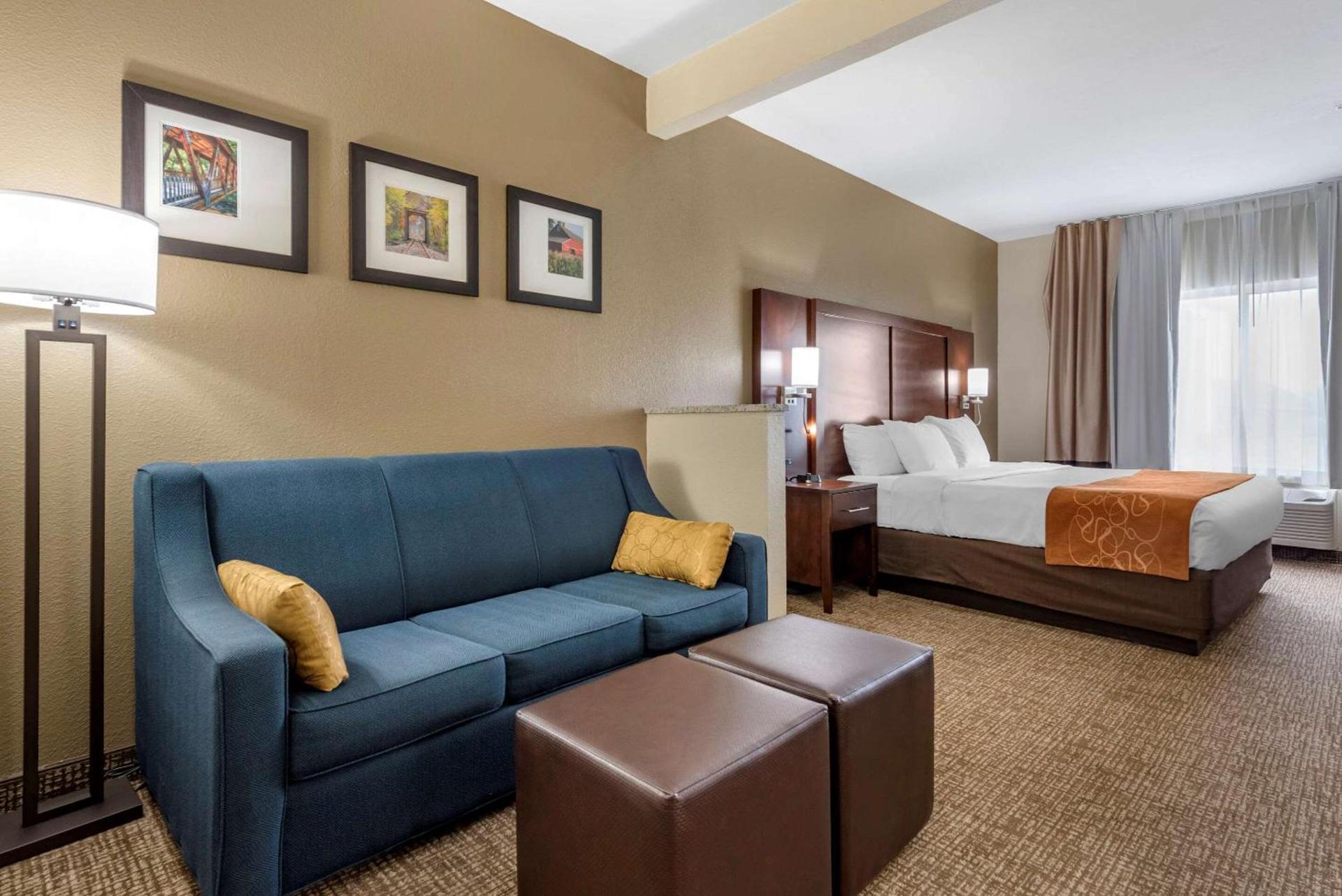 Comfort Suites Auburn near I-69 photo 10
