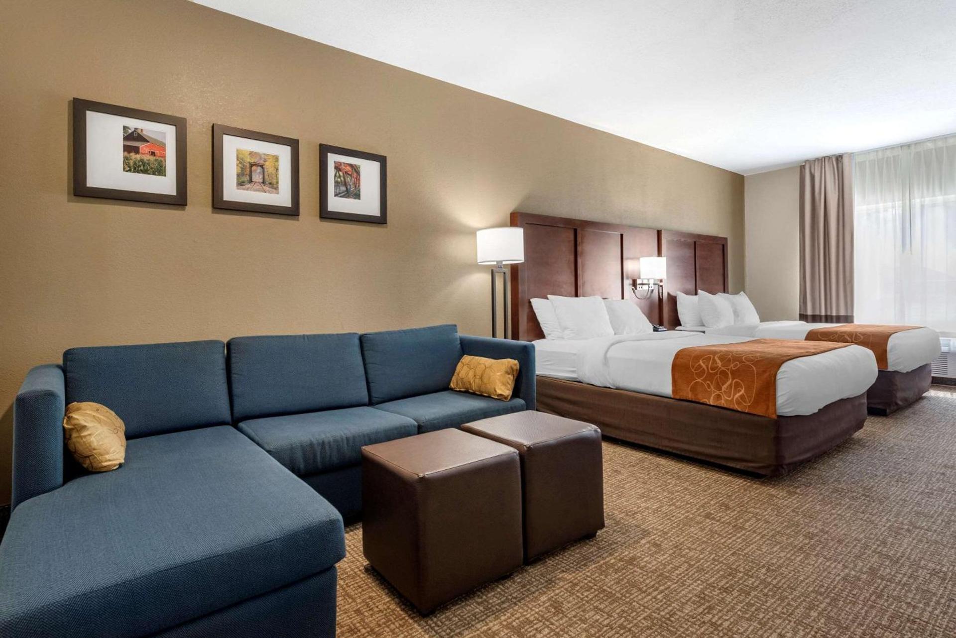 Comfort Suites Auburn near I-69 photo 16