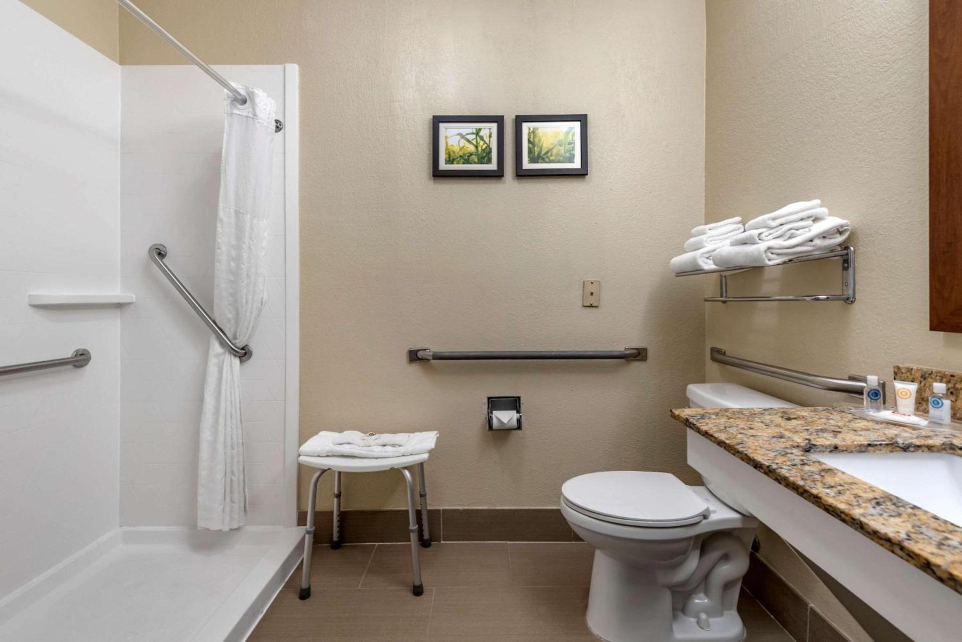 Comfort Suites Auburn near I-69 photo 19
