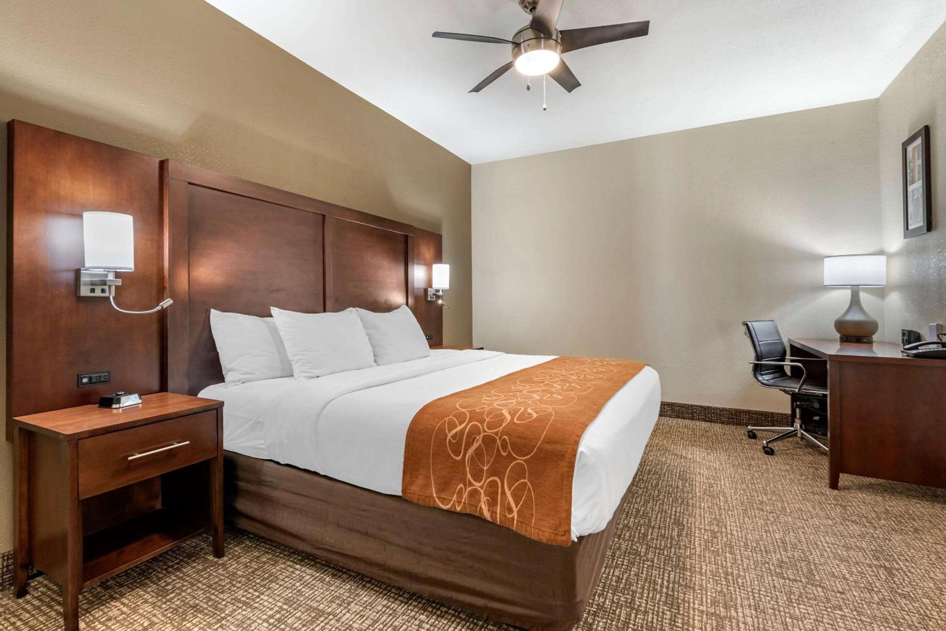 Comfort Suites Auburn near I-69 photo 18