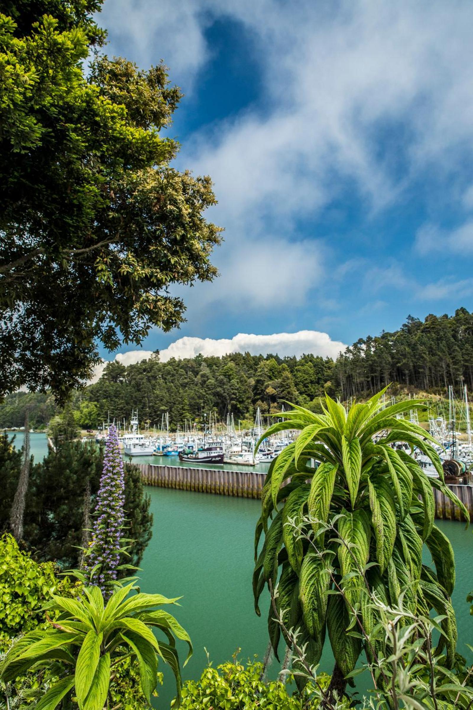 Noyo Harbor Inn photo 2