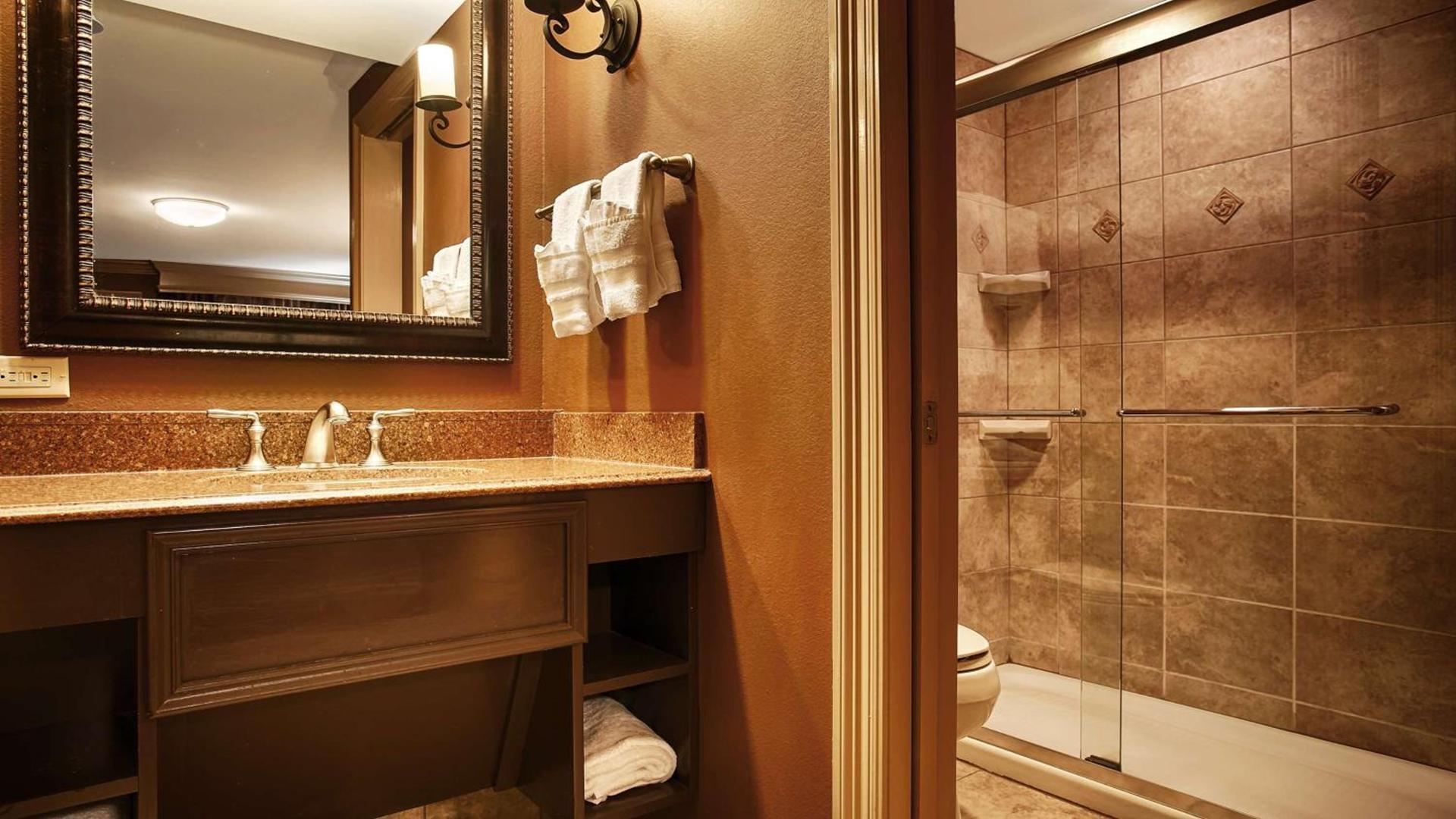 Best Western Plus French Quarter Courtyard Hotel photo 19