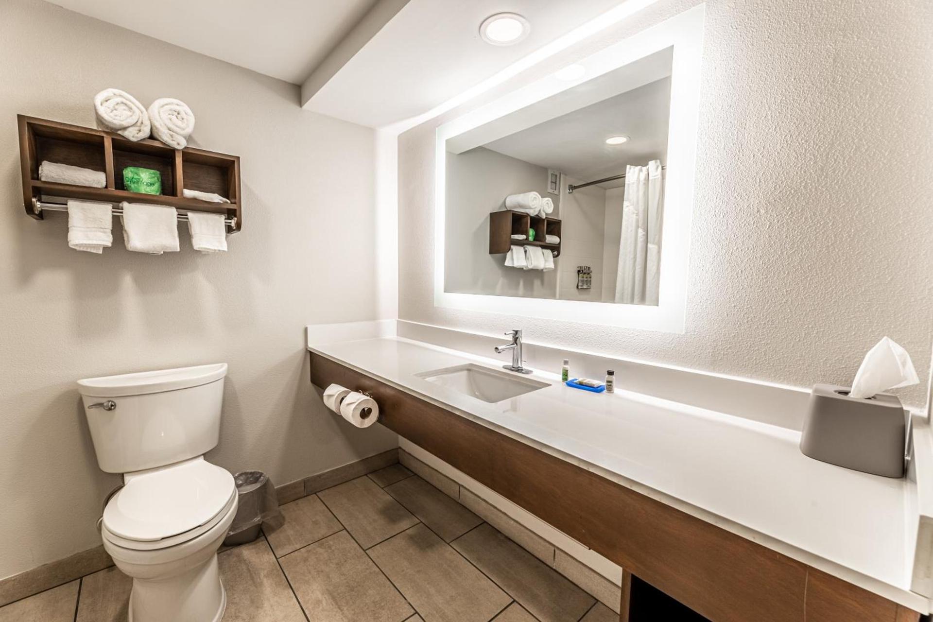 Holiday Inn Express Indianapolis South by IHG photo 50