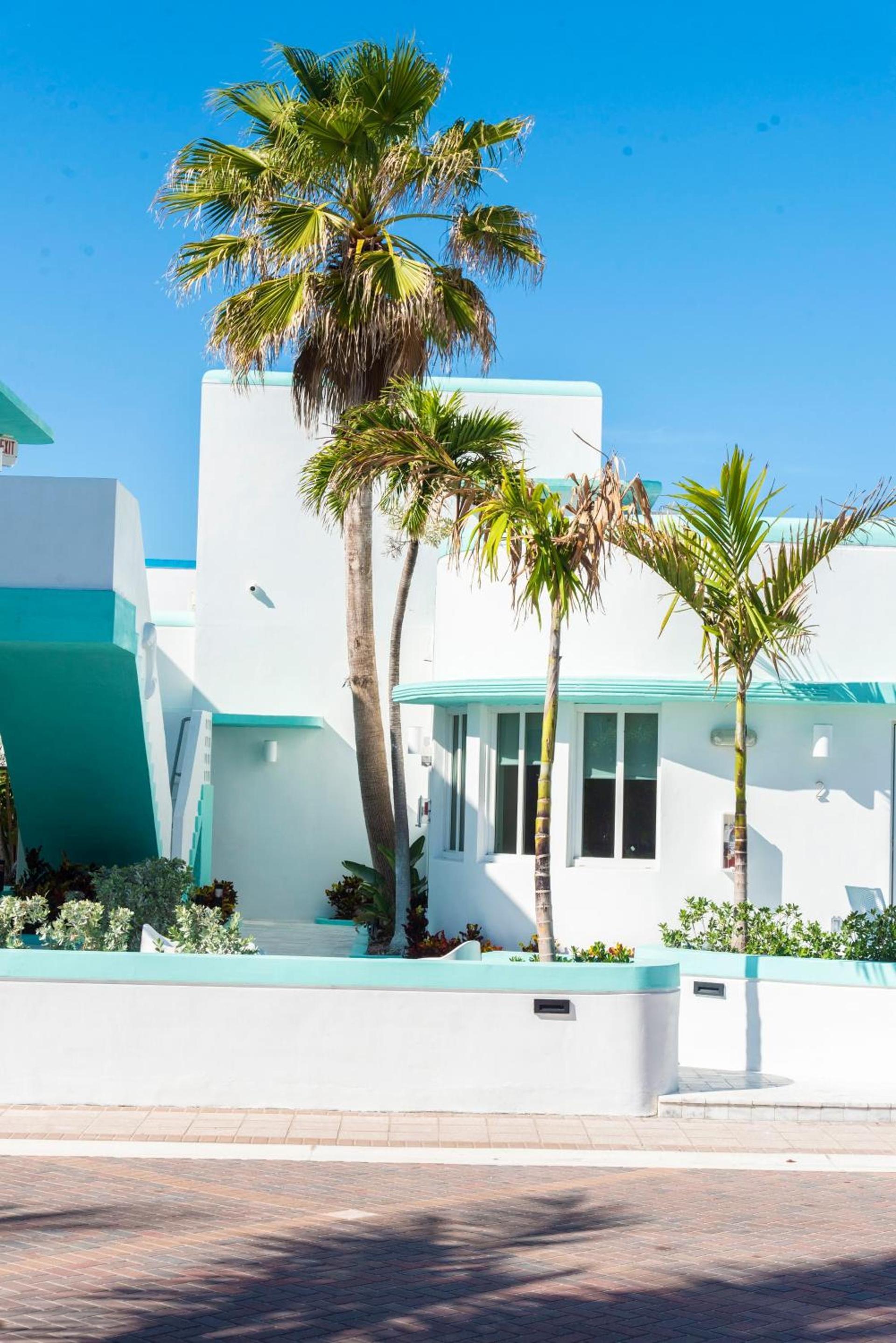 The Marlin Beachside photo 11