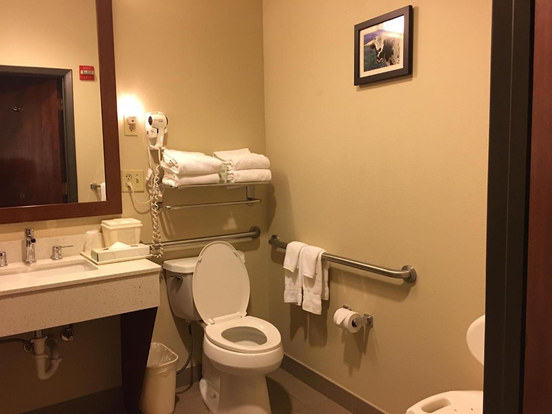 Comfort Inn Early Brownwood photo 32