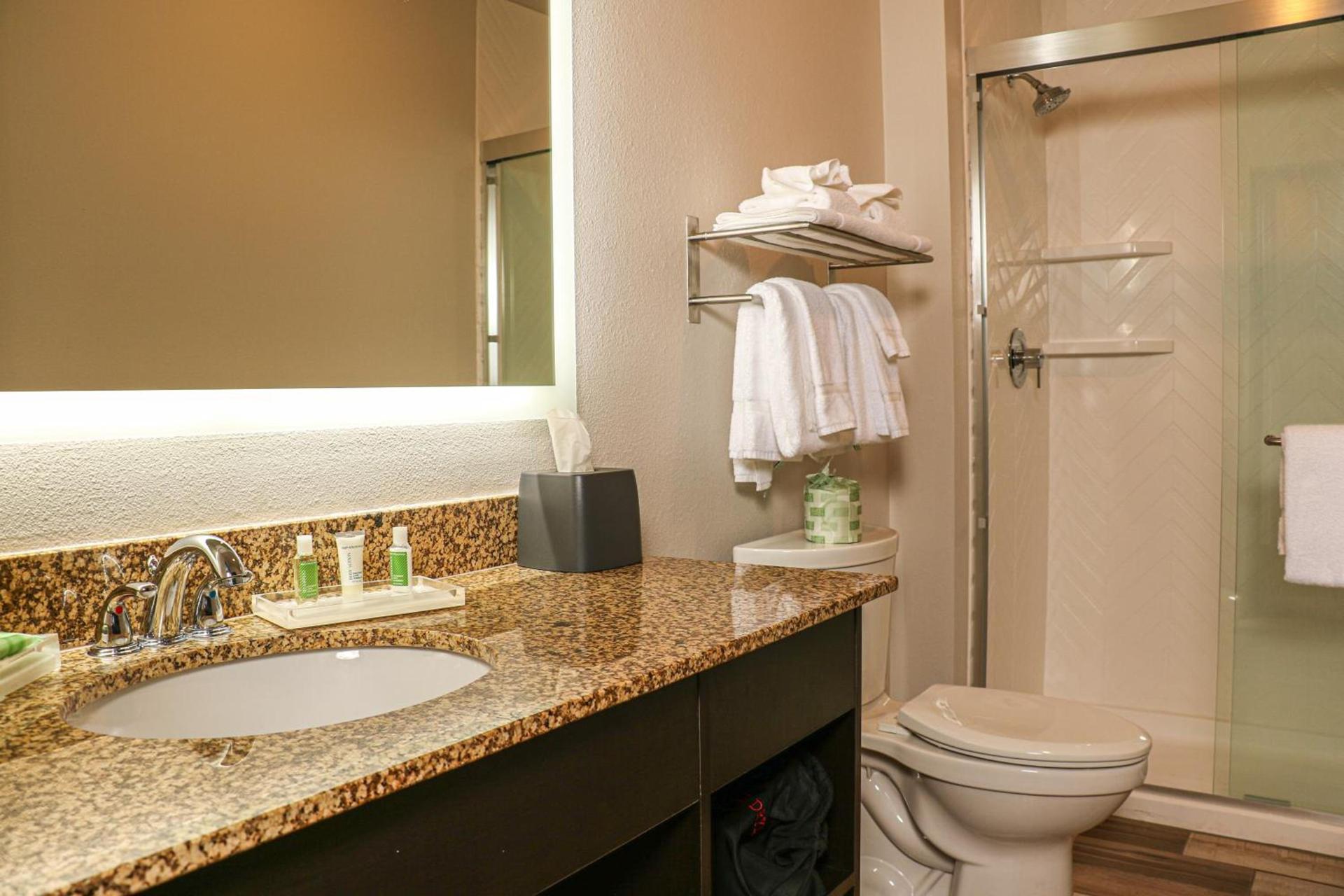 Holiday Inn Clarkston - Lewiston by IHG photo 66