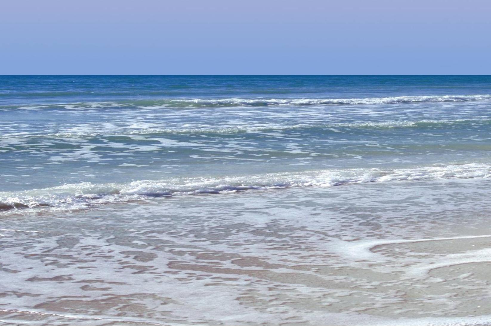 Silver Surf Gulf Beach Resort photo 27