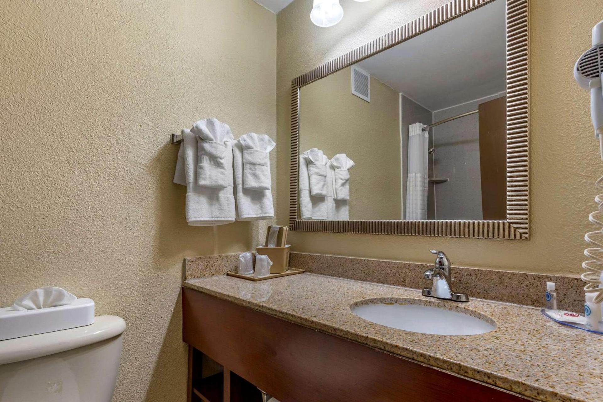 Comfort Inn Fort Mill Amusement Park at Carowinds Blvd photo 12
