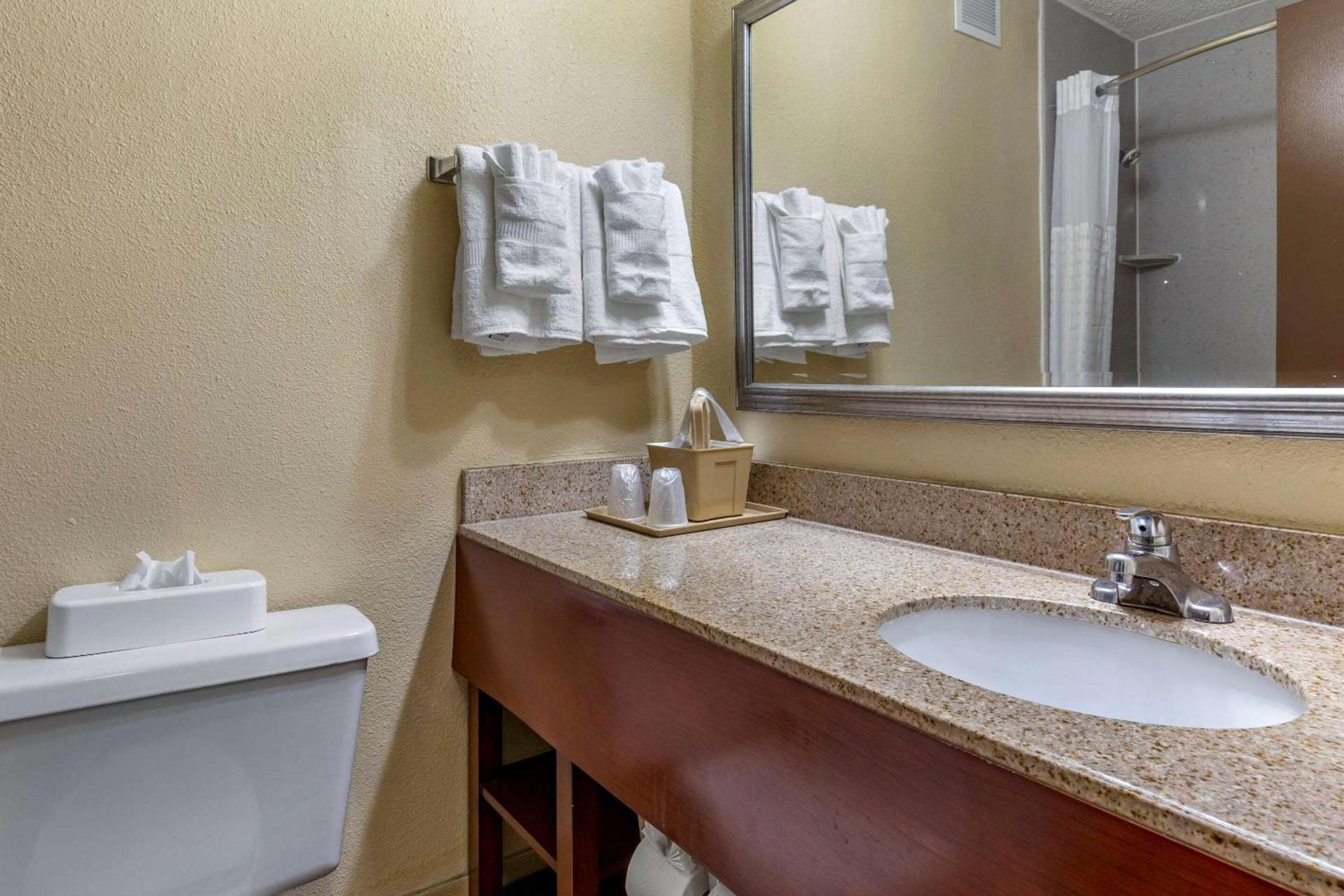 Comfort Inn Fort Mill Amusement Park at Carowinds Blvd photo 15