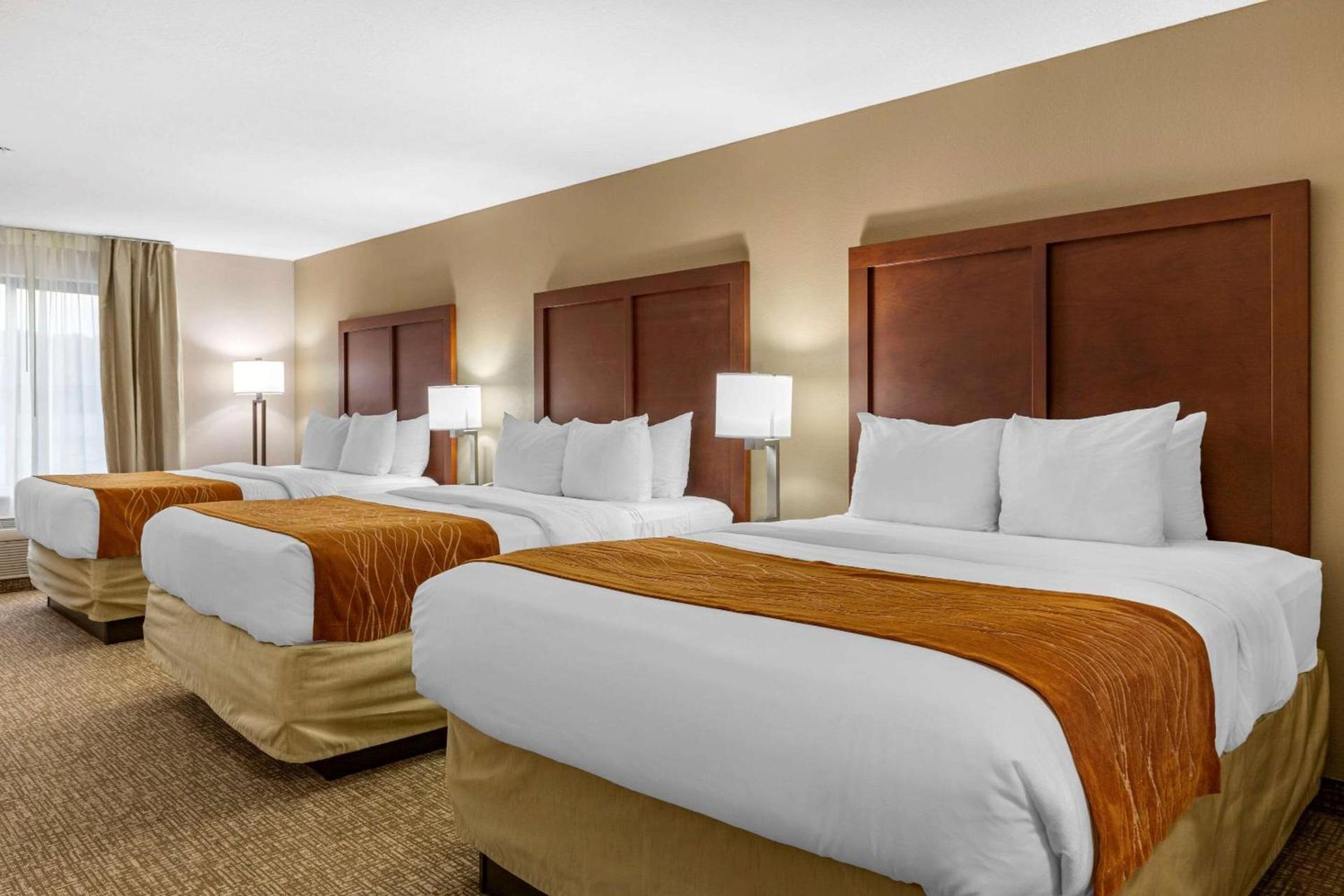 Comfort Inn Smithfield near I-95 photo 20