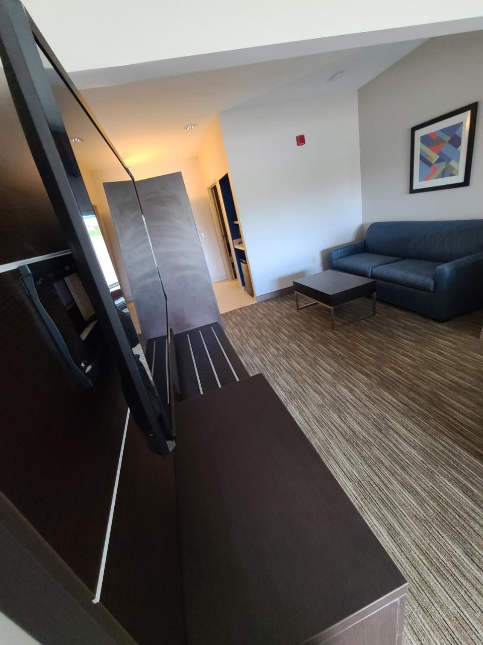 Holiday Inn Express Hotel & Suites Sheldon by IHG photo 16