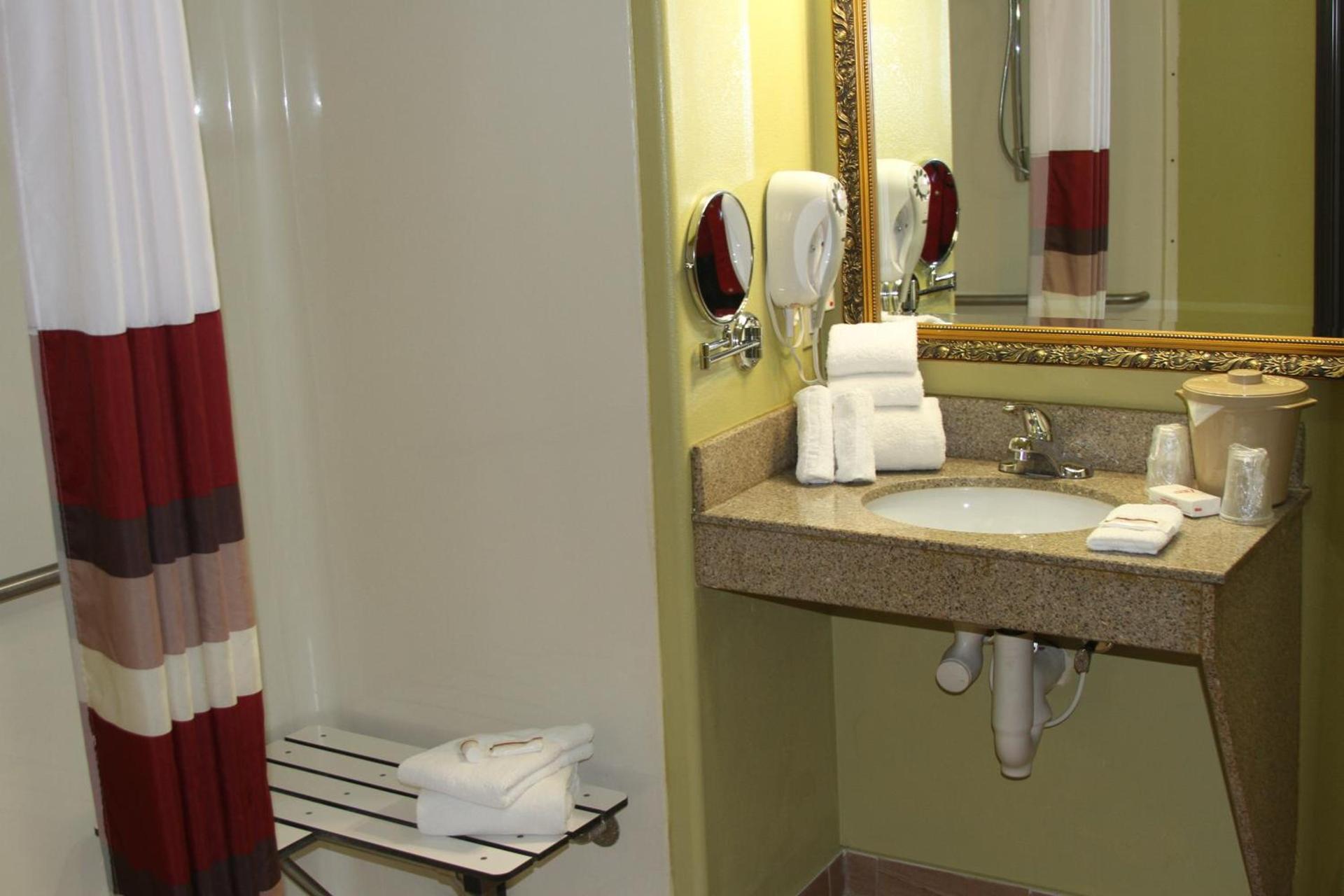 Red Roof Inn & Suites Detroit - Melvindale/Dearborn photo 26