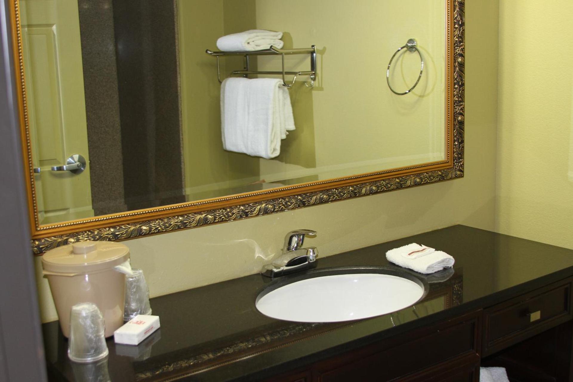 Red Roof Inn & Suites Detroit - Melvindale/Dearborn photo 23