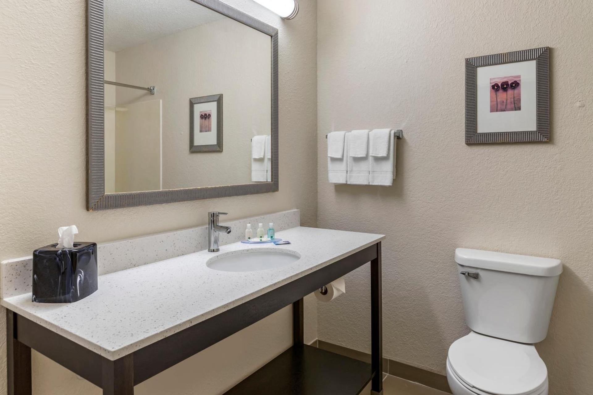 Quality Inn & Suites photo 41