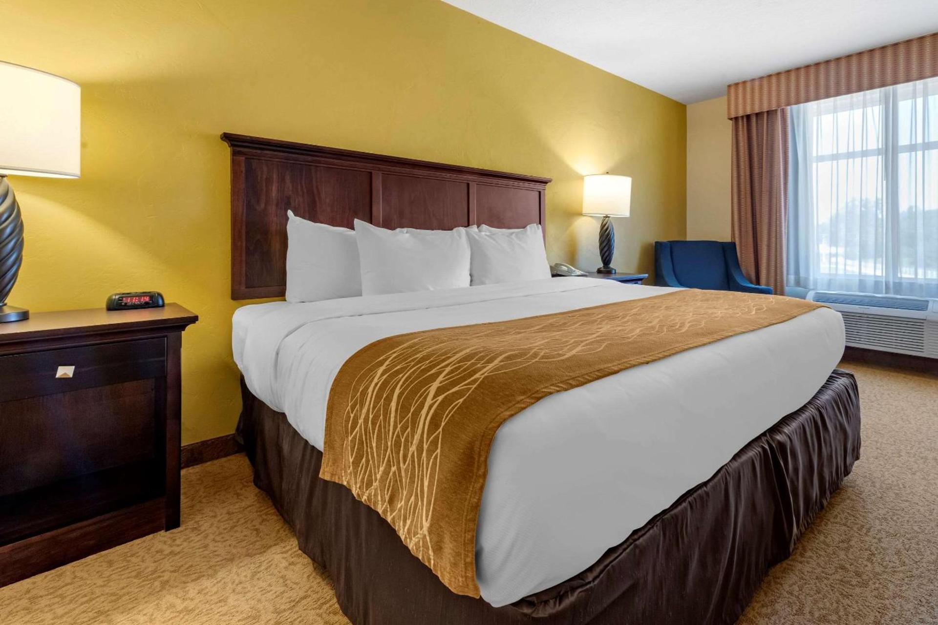 Comfort Inn & Suites Dover photo 10