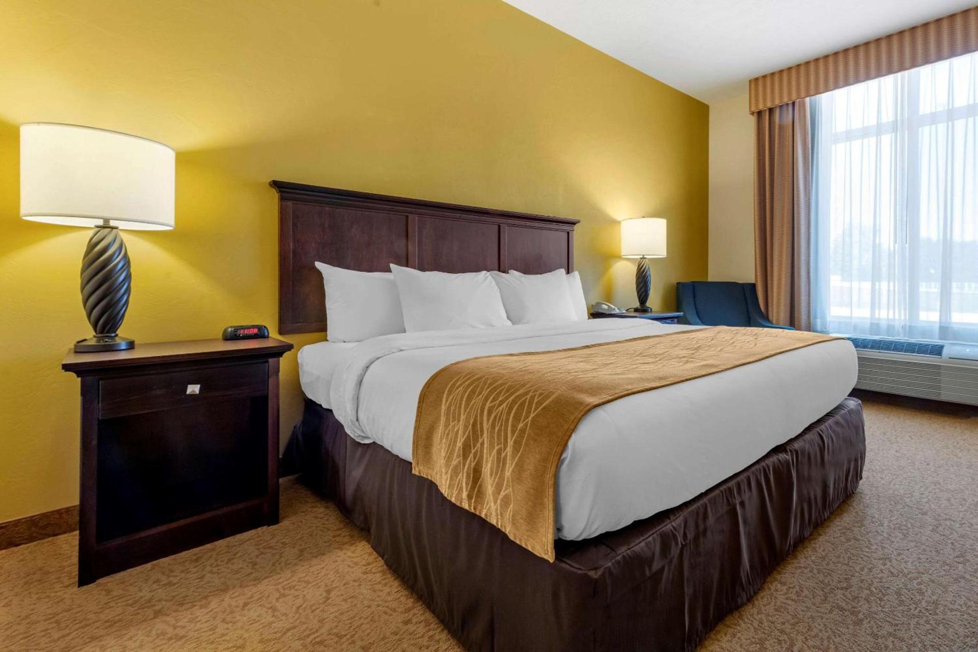 Comfort Inn & Suites Dover photo 5