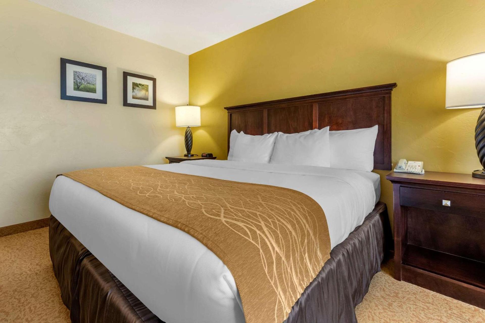 Comfort Inn & Suites Dover photo 12