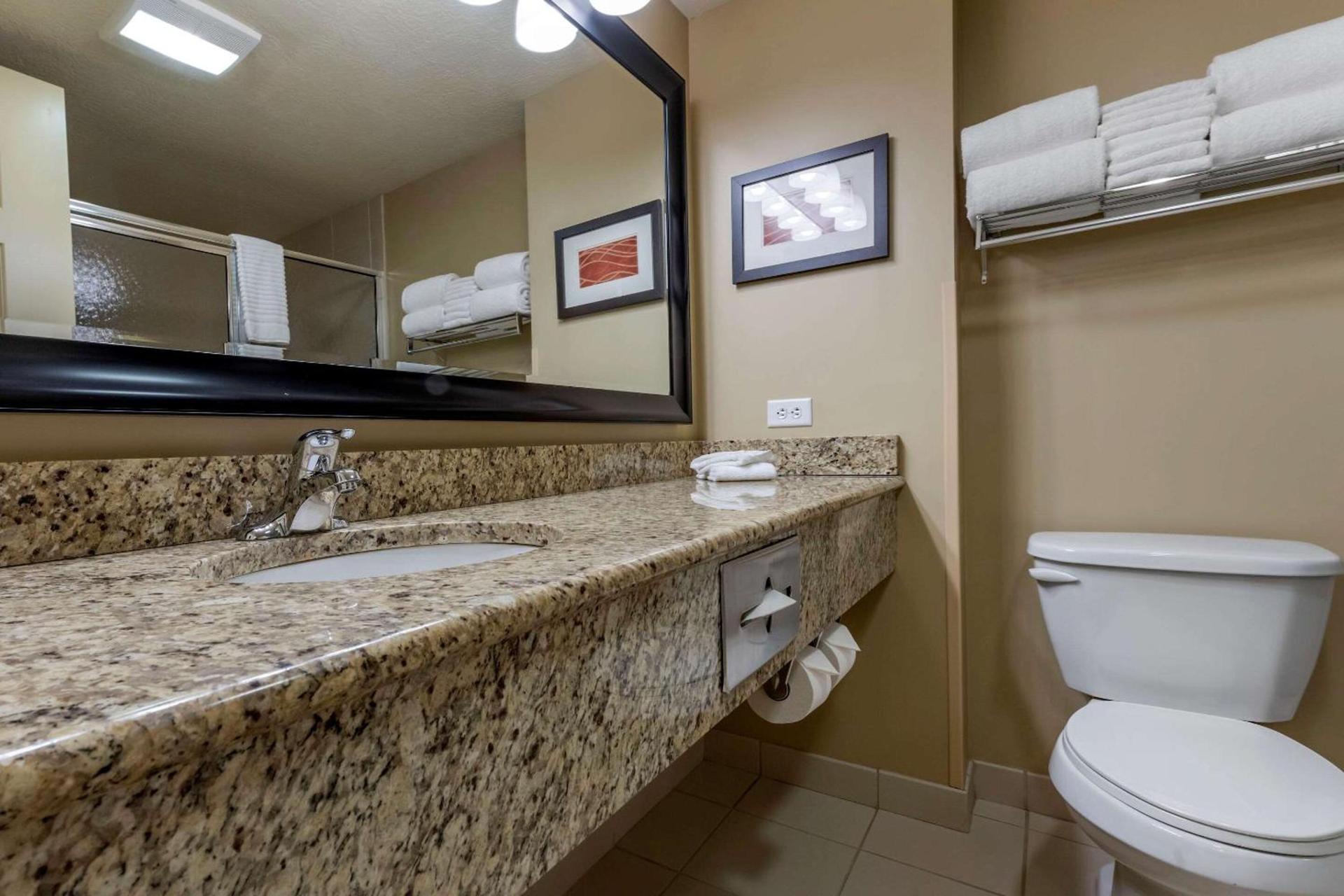 Comfort Inn & Suites Dover photo 13