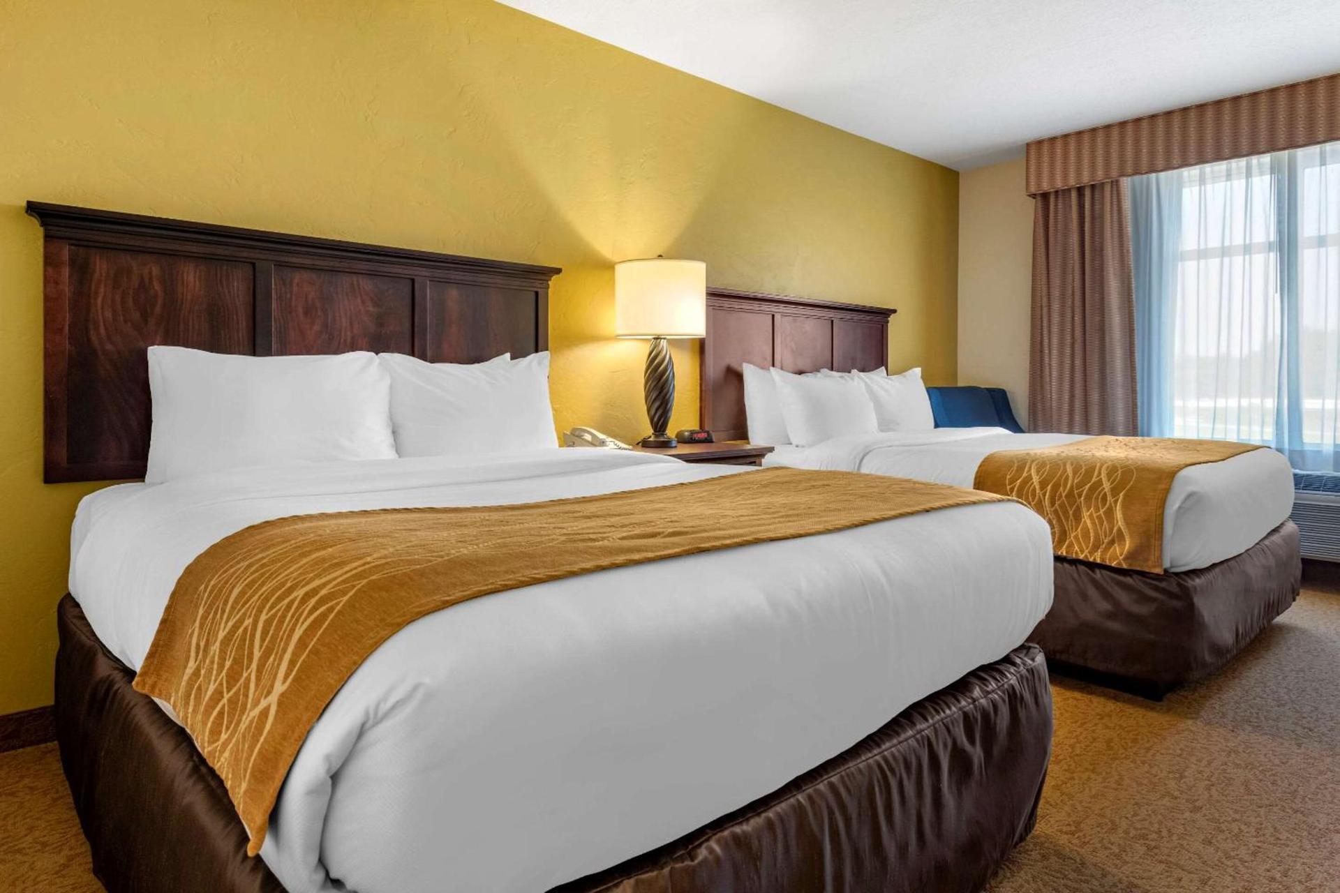 Comfort Inn & Suites Dover photo 14