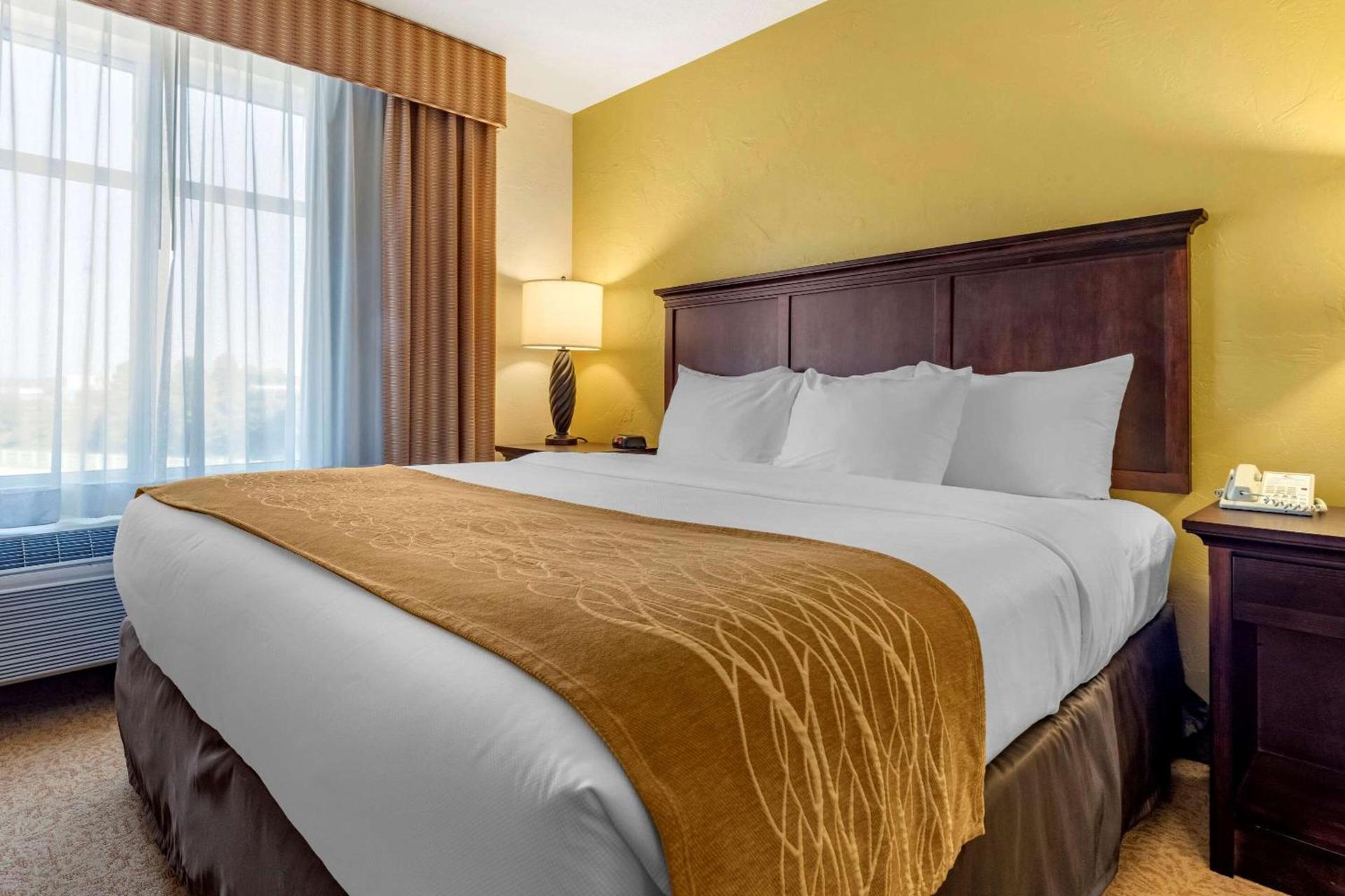 Comfort Inn & Suites Dover photo 17