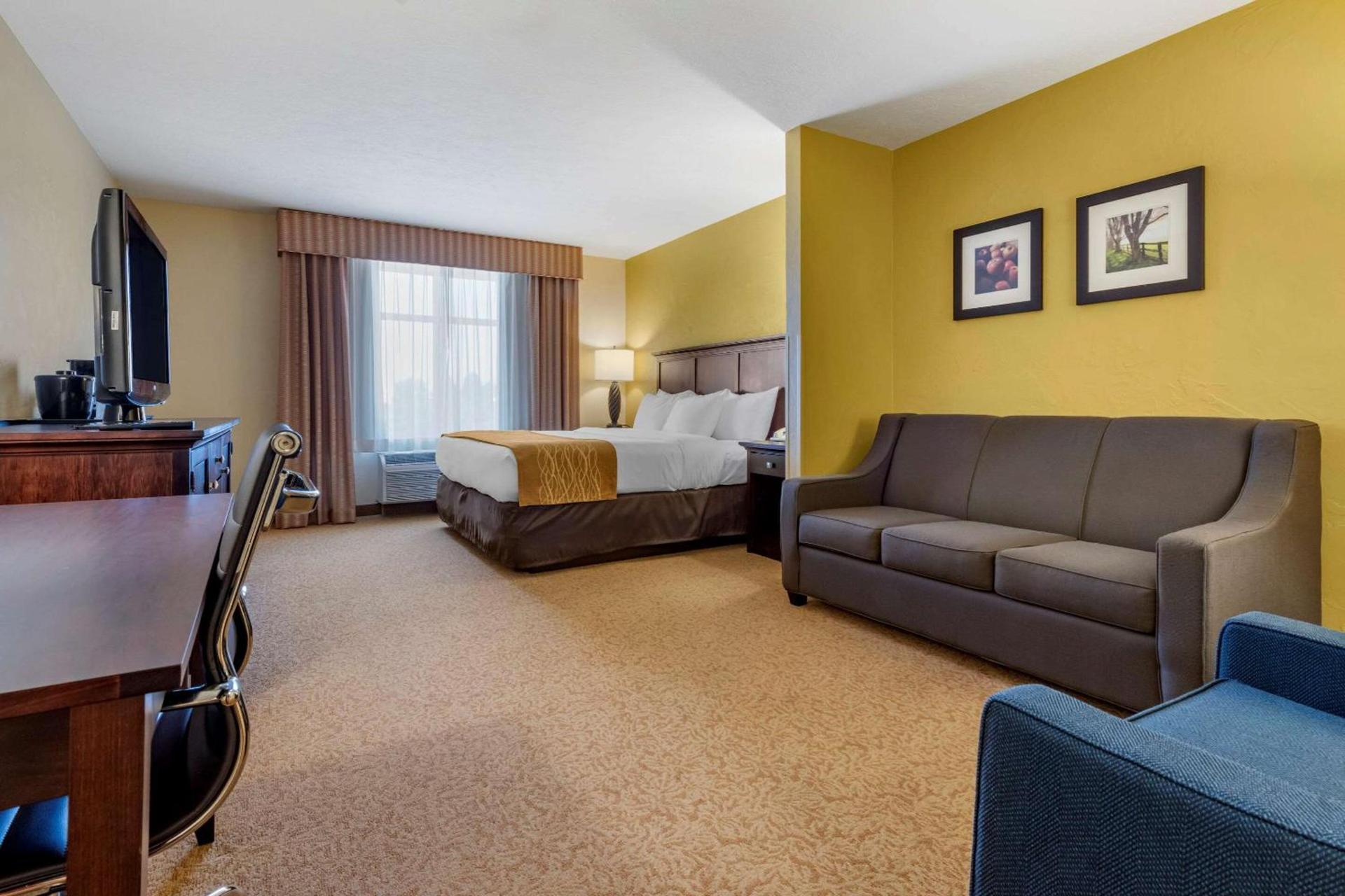 Comfort Inn & Suites Dover photo 16