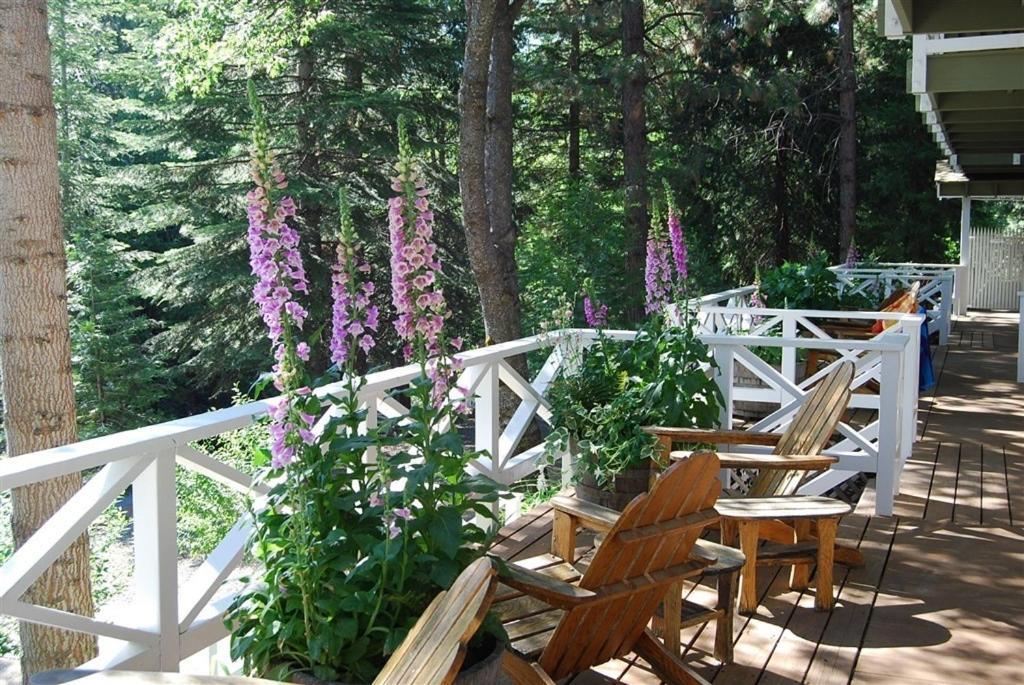 Narrow Gauge Inn photo 57