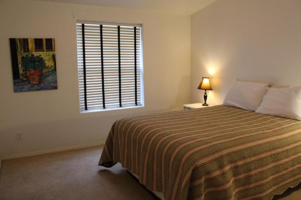 Lakeshore Lodge photo 12