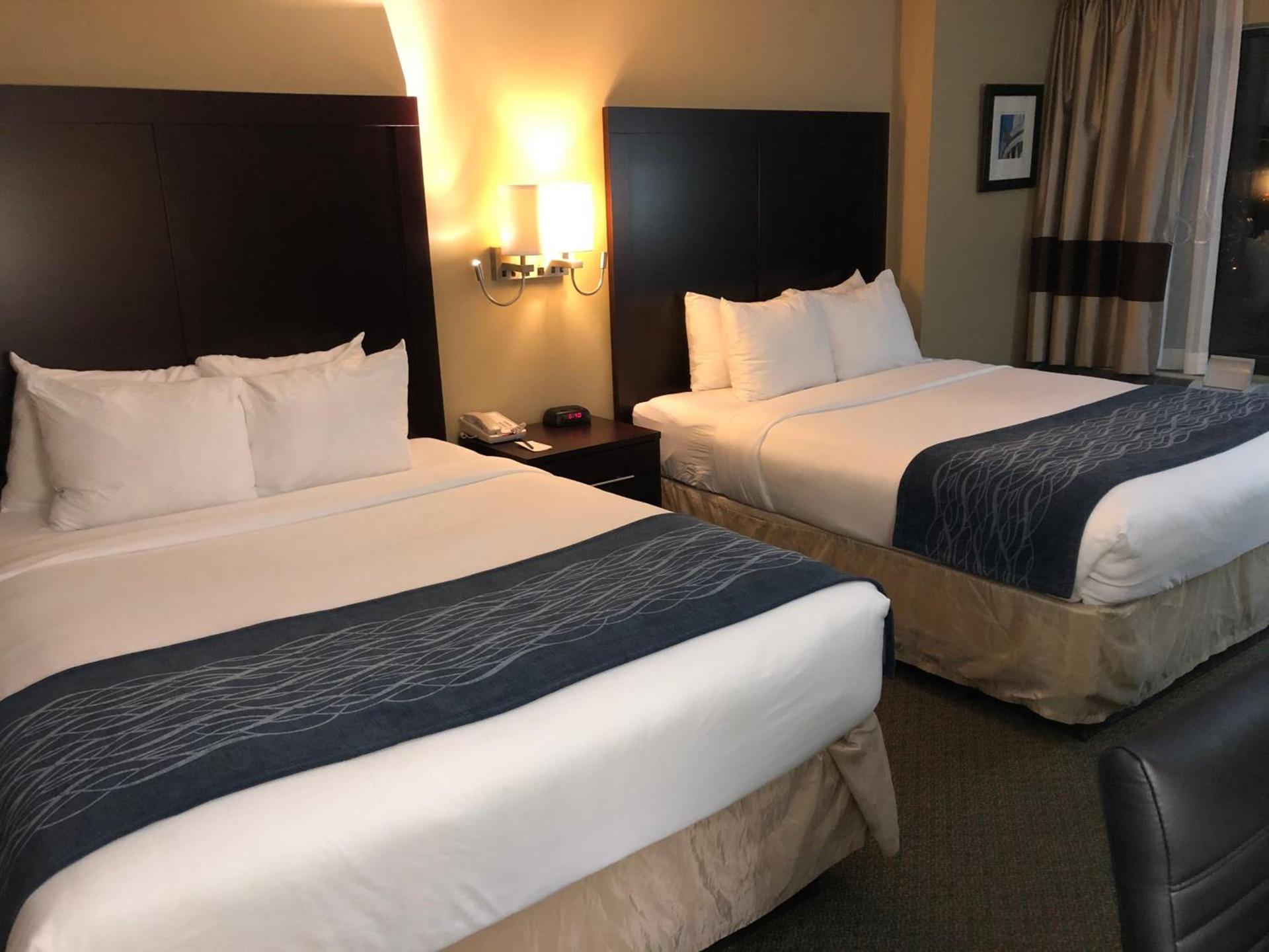Comfort Inn Pentagon City photo 30