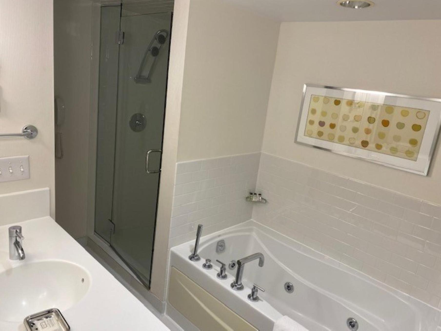 Crowne Plaza - Chicago West Loop by IHG photo 29