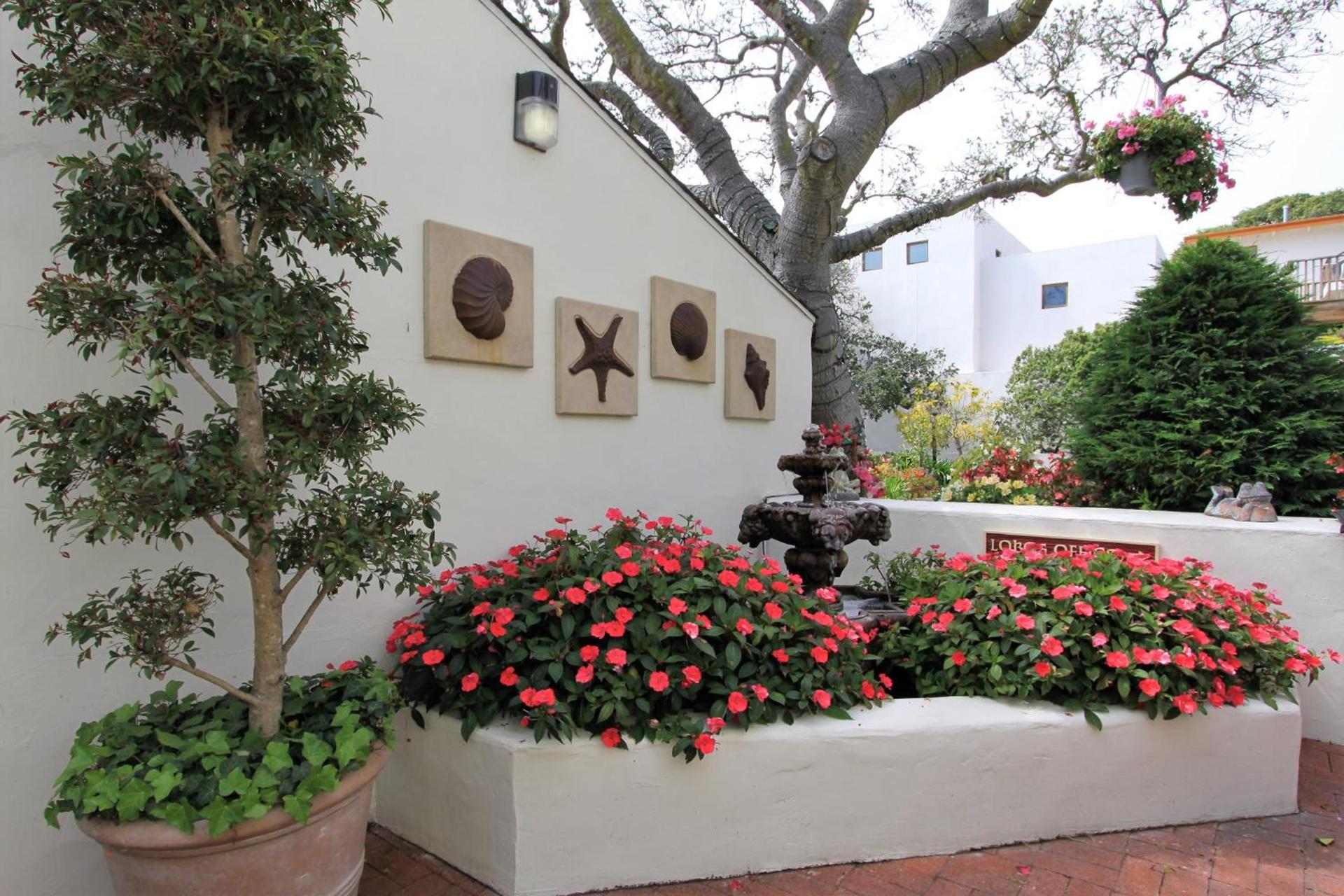 Lobos Lodge photo 60