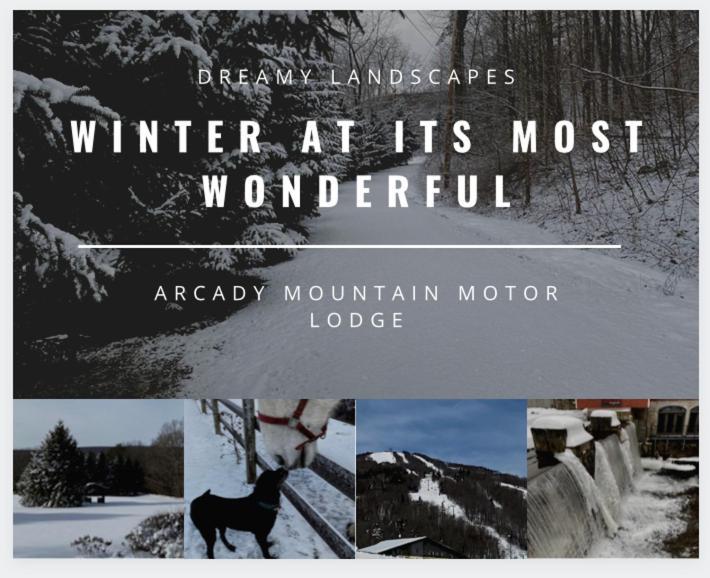 Arcady Mountain Motor Lodge photo 77