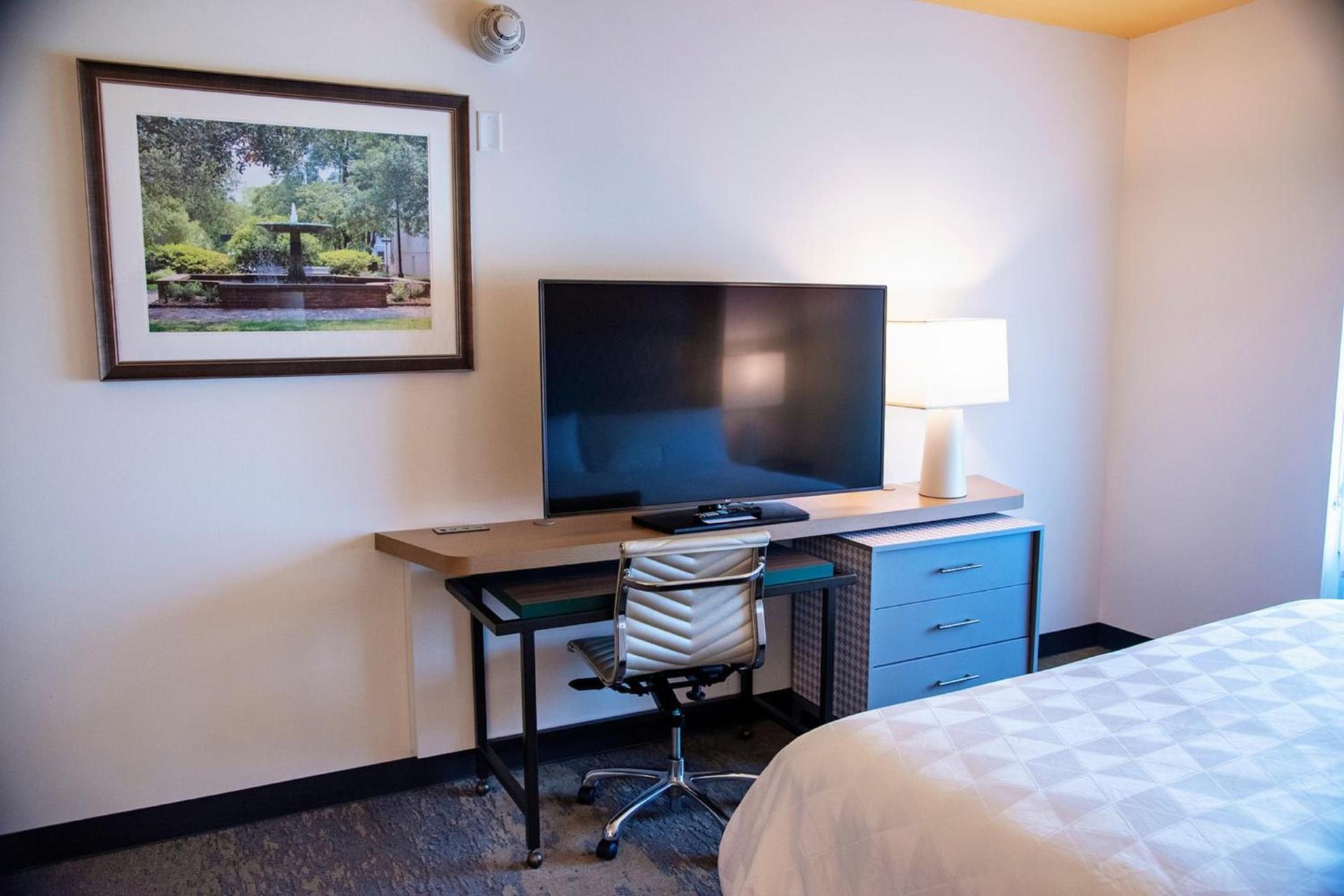 Holiday Inn & Suites - Savannah Airport - Pooler by IHG photo 20