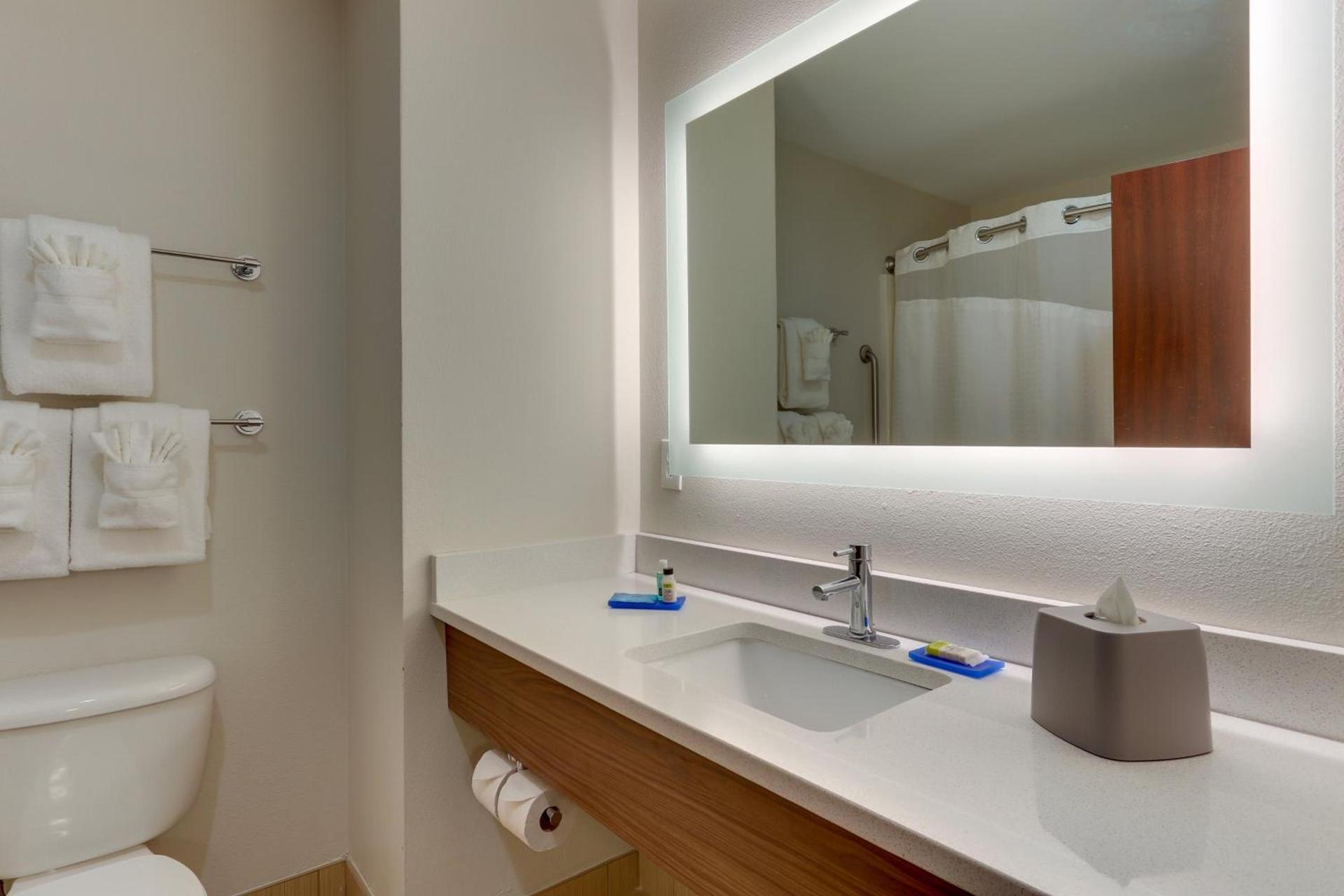 Holiday Inn Express Hotel & Suites Dayton-Centerville by IHG photo 25