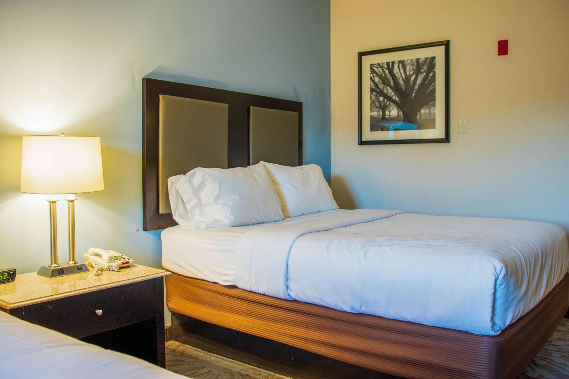 Comfort Inn & Suites Plainville-Foxboro photo 12