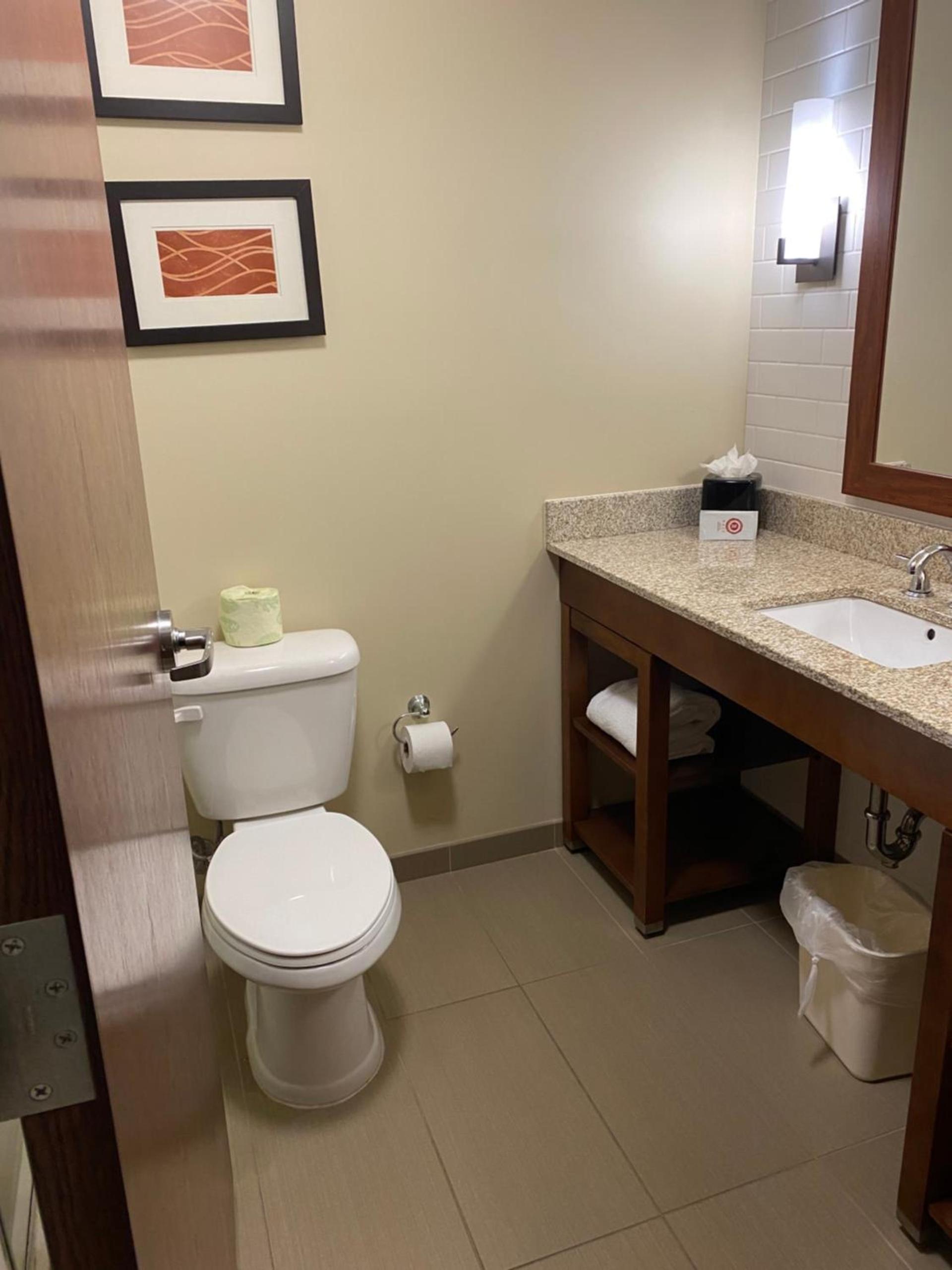 Comfort Inn & Suites photo 52