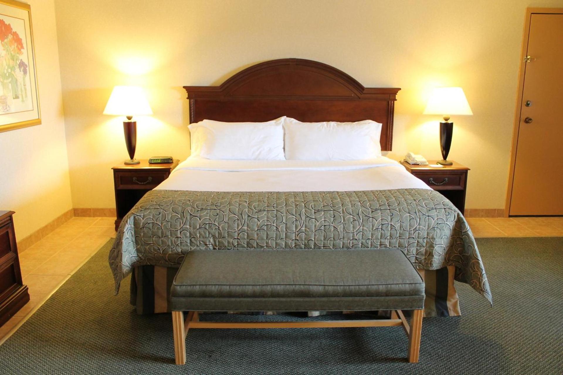 Holiday Inn Great Falls-Convention Center by IHG photo 57